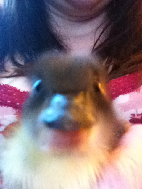 Caption That? ;)
"HI THERE" ?
"CHEESE!" ?
"The heck is this thing?" ?
...?