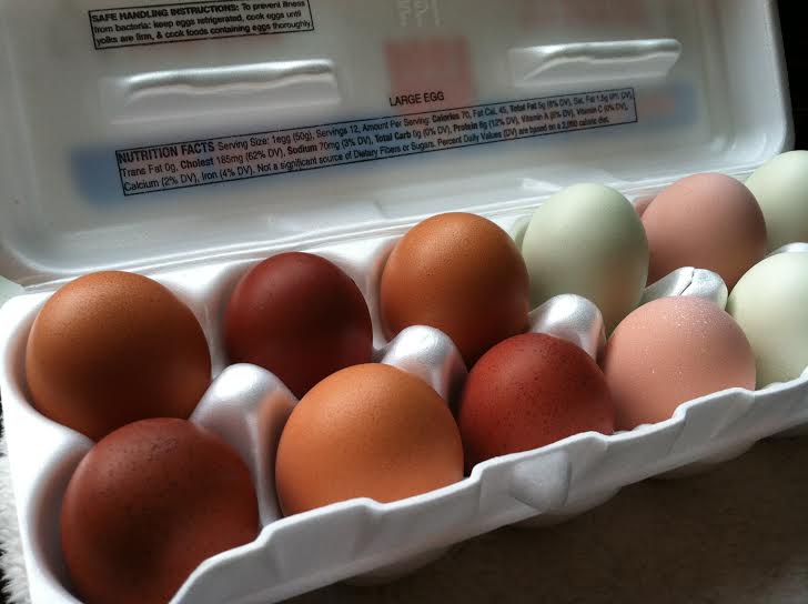 Caramel and chocolate with pink and mint.  I miss our Marans eggs.