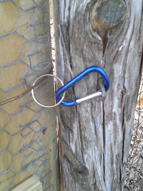 Carribeaner Gate Locks