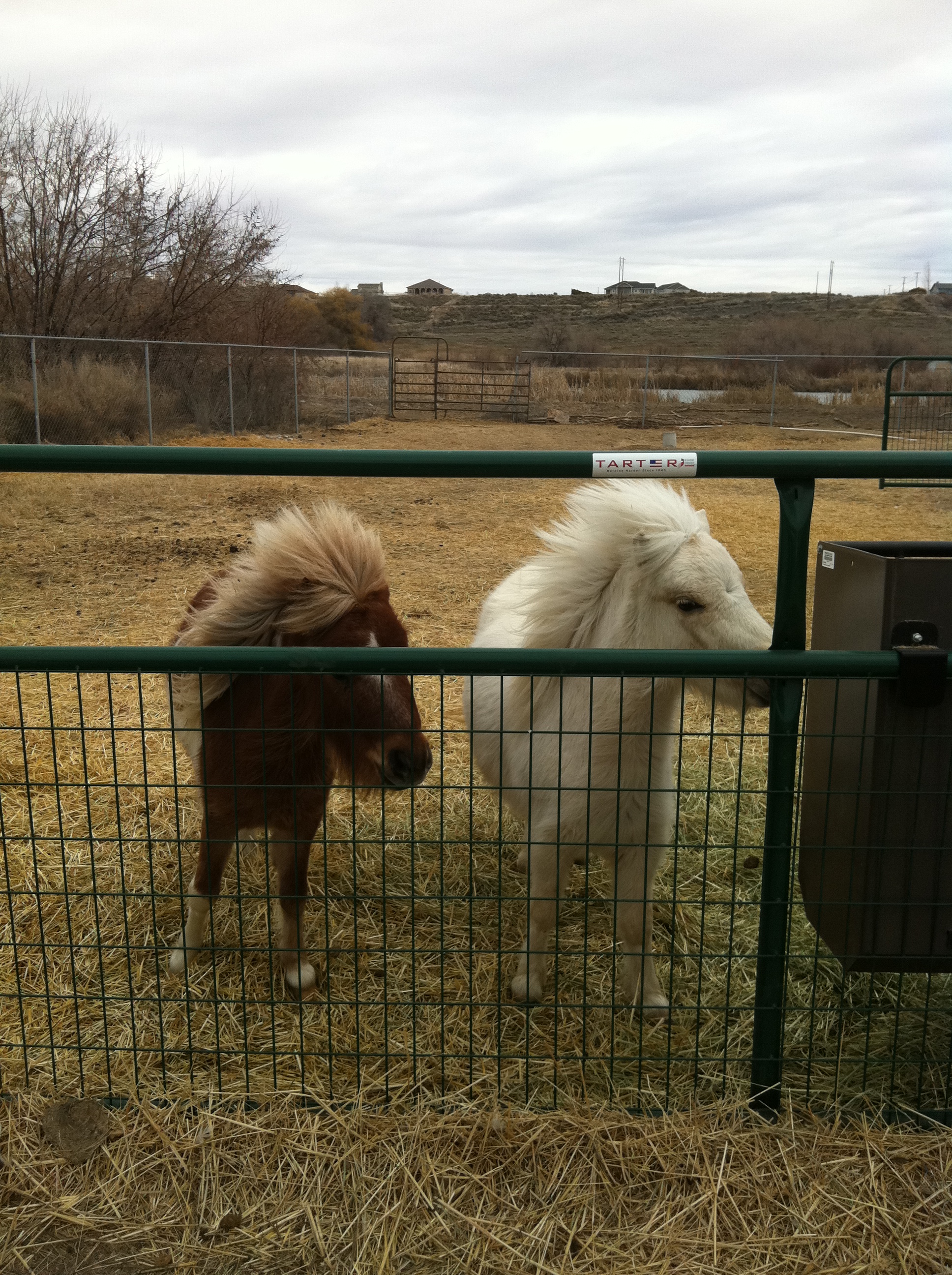 Cash and Hope