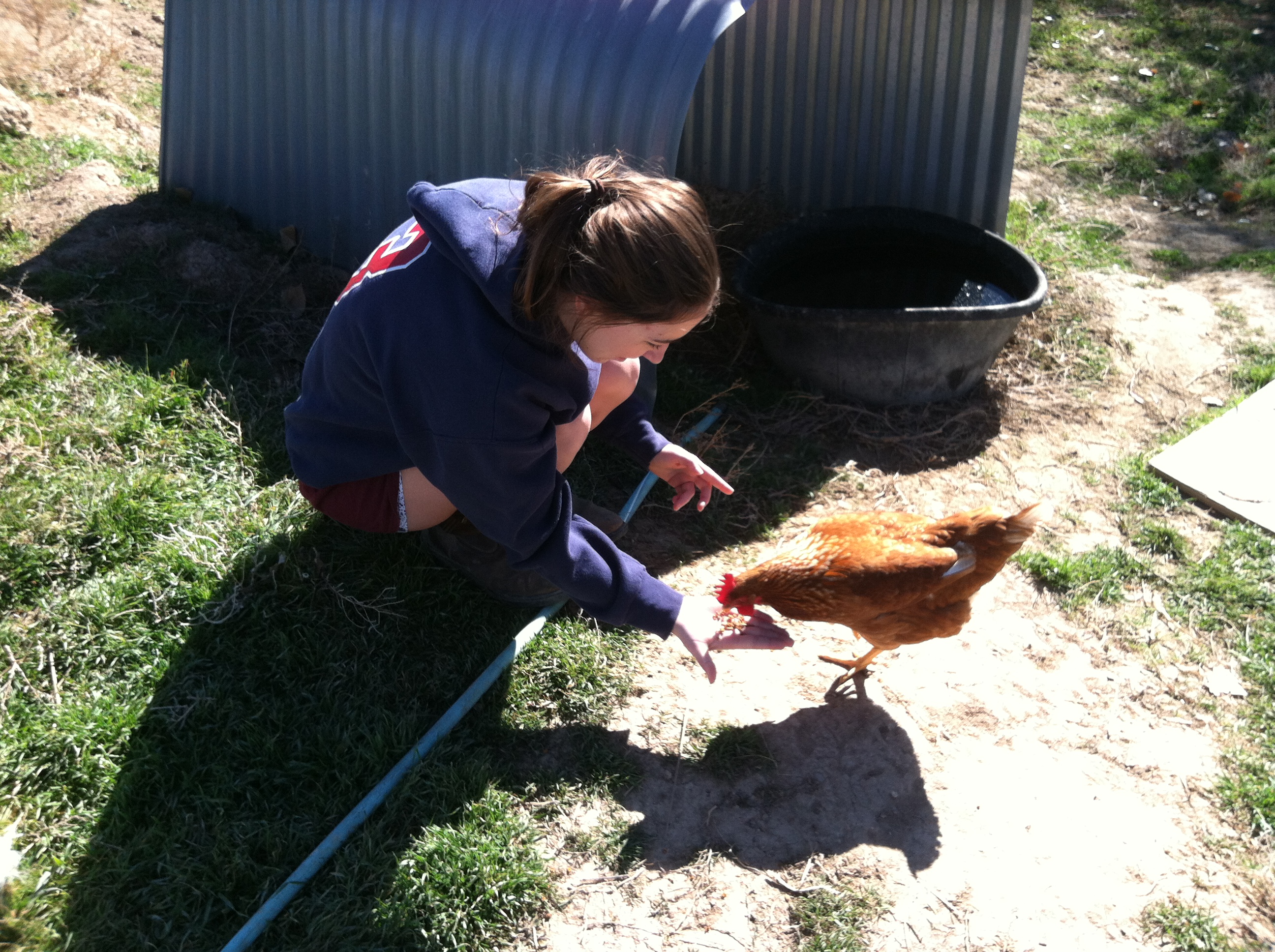 Cassie and Star