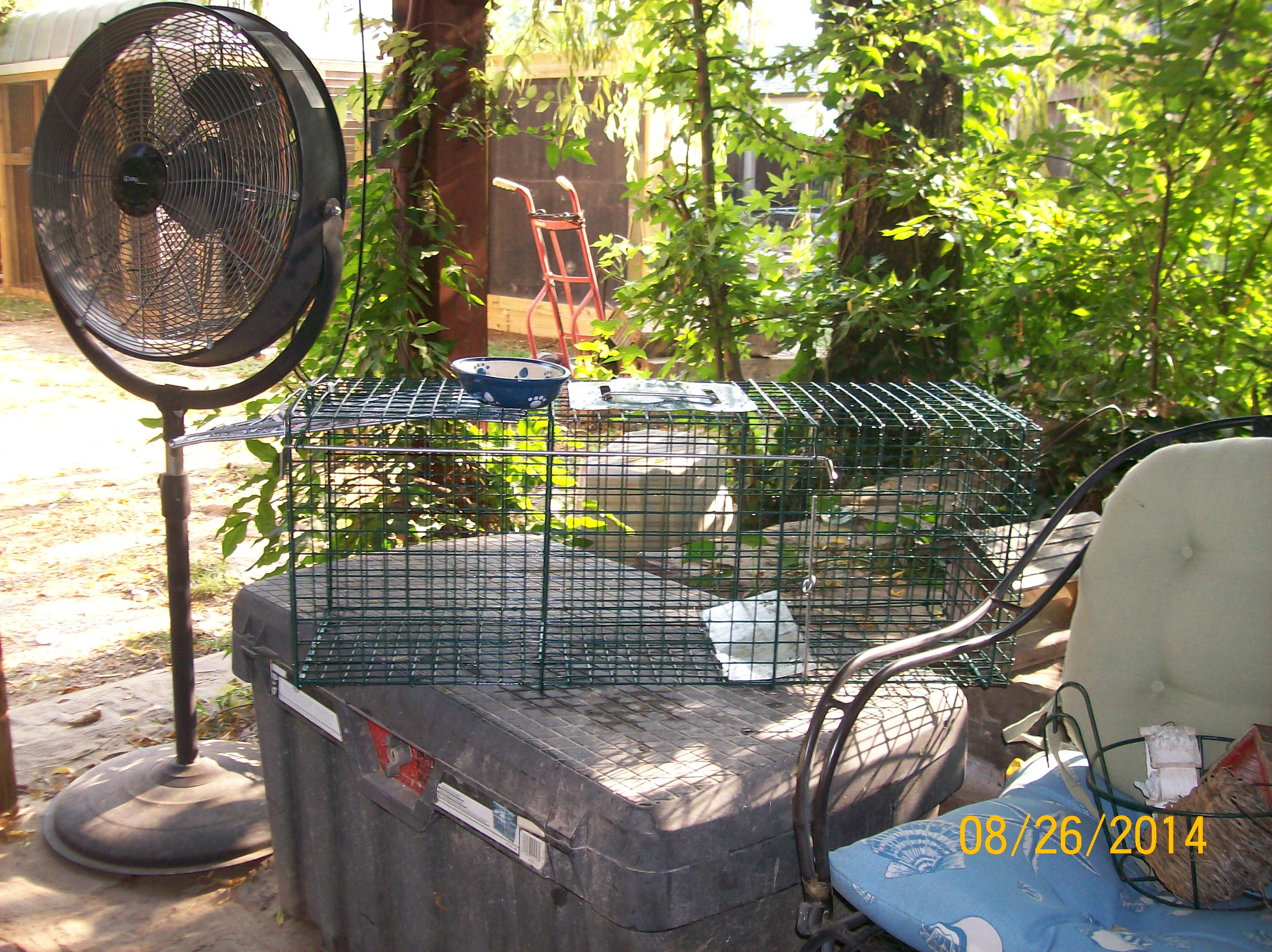 catch cage for the ferel's