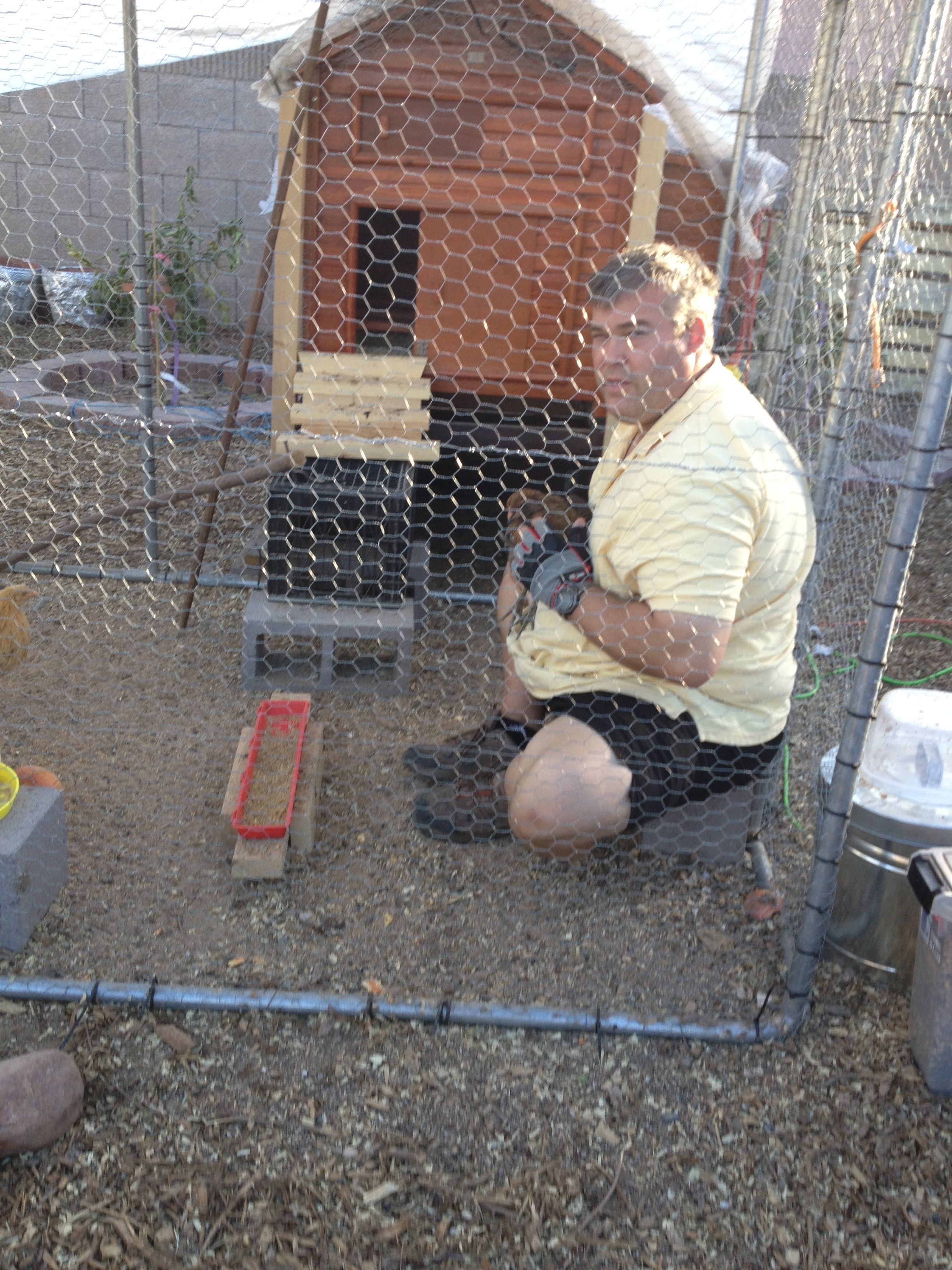 Caught in the act of being captivated by pet chickens
I think that if his dog didn't want to eat chickens it would be a matter of time and he would have one   And it would be very spoiled.