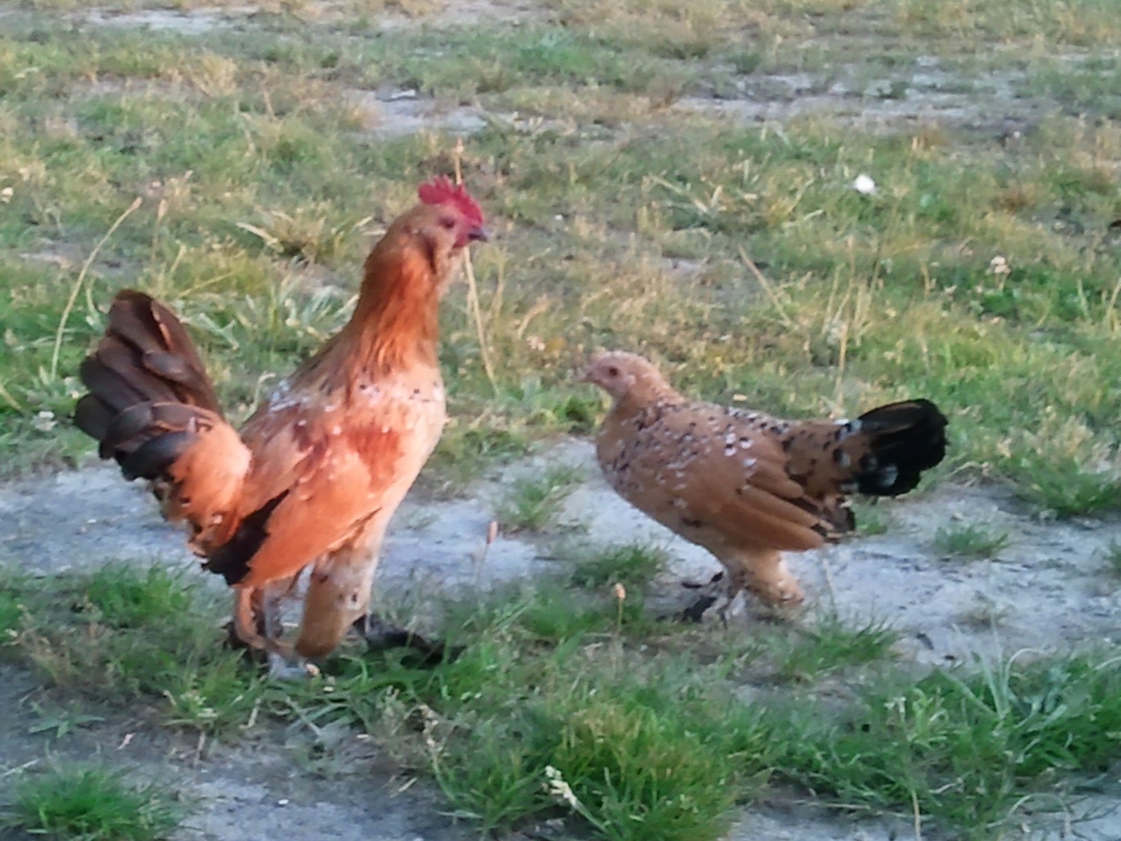 Chaps and little one having a chat ? Hmmm.