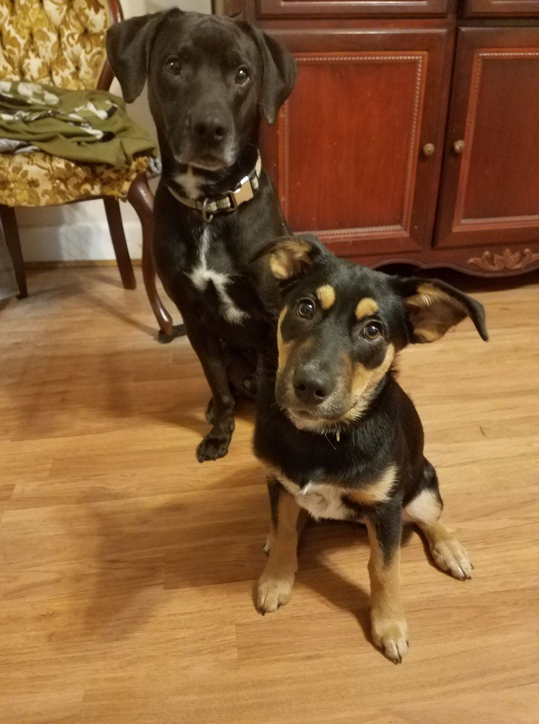 Charlie & Piper