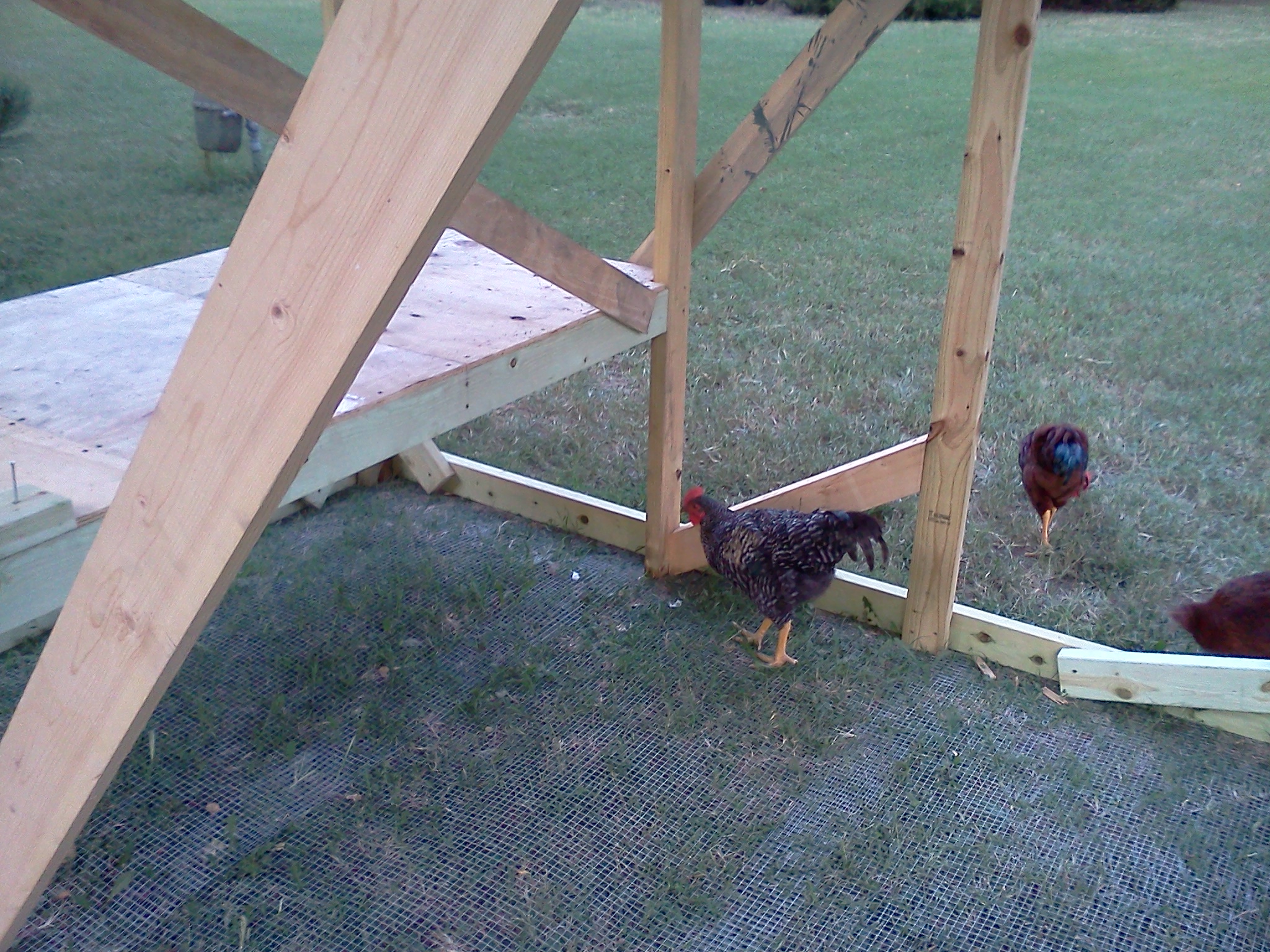 Charlie ventures in!