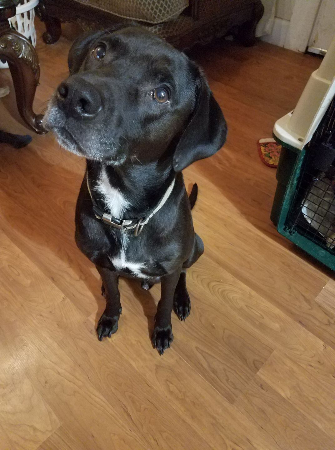 Charlie