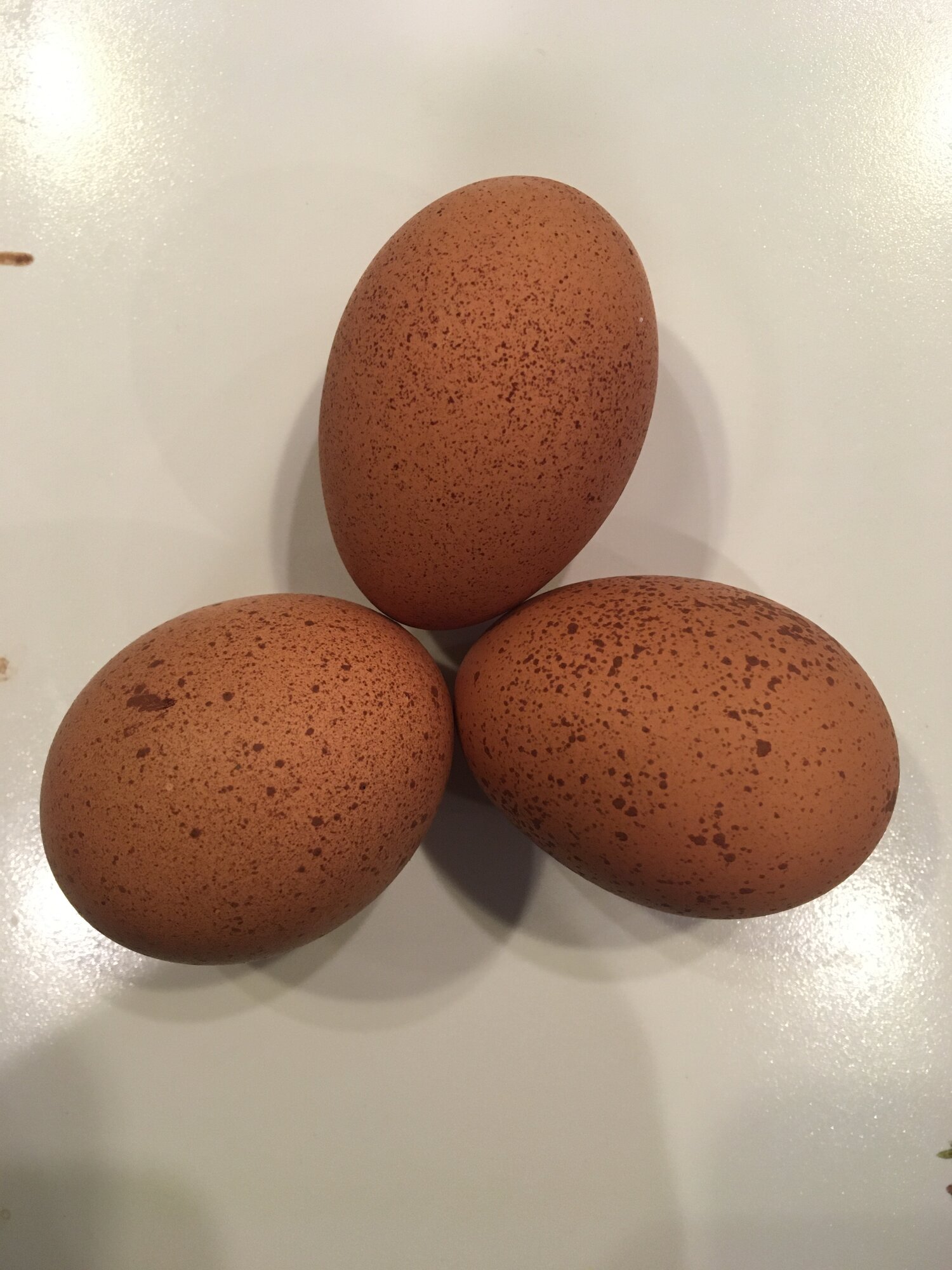 Charlotte's eggs