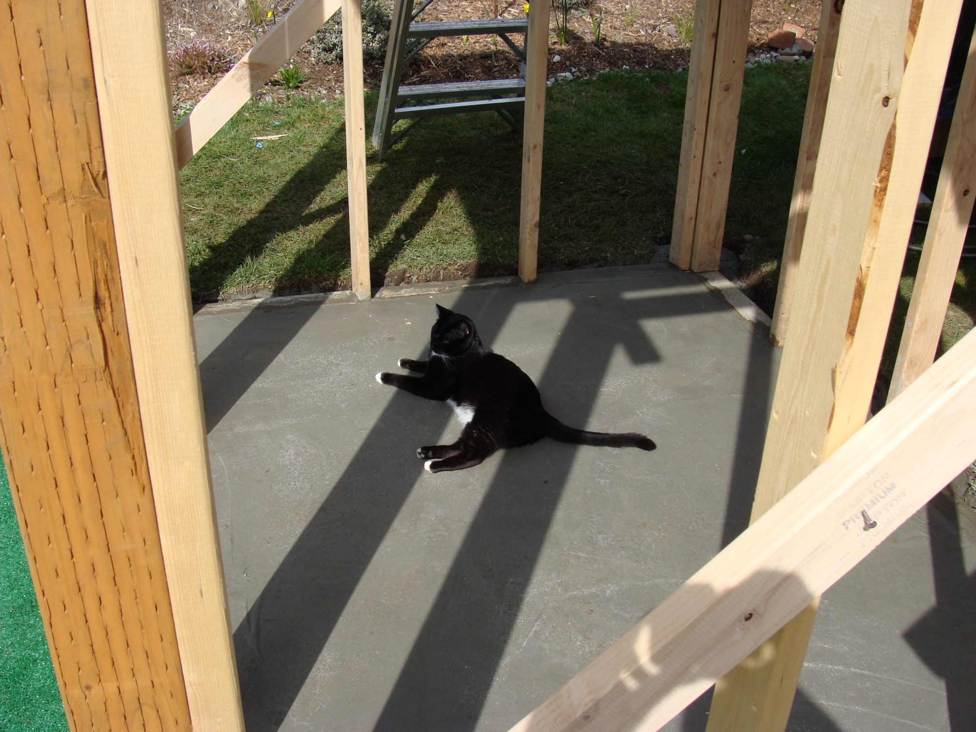 Chauncey checks out my foundation work. He later gave it the OK I was waiting for from the county. I had to pay him off with in cat money(canned cat food).