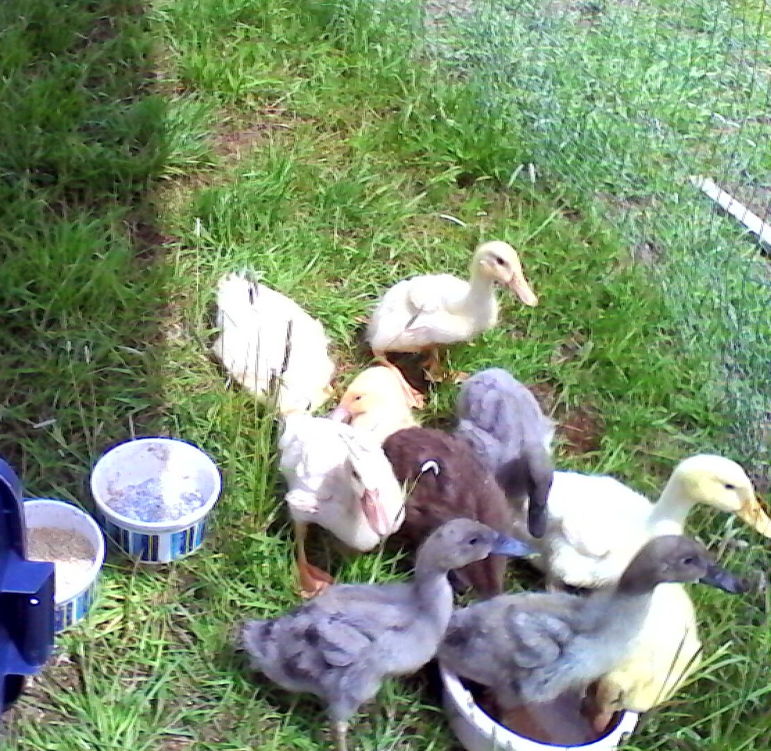 Checking nature out.