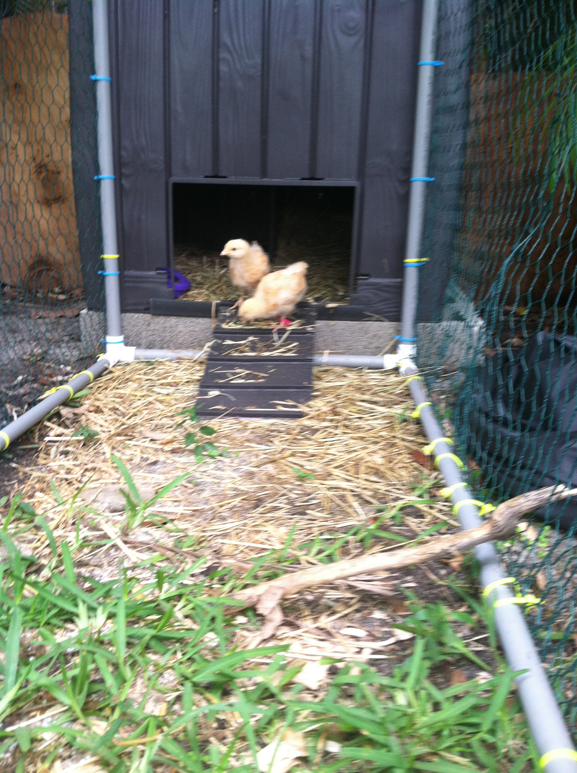 Checking out everything