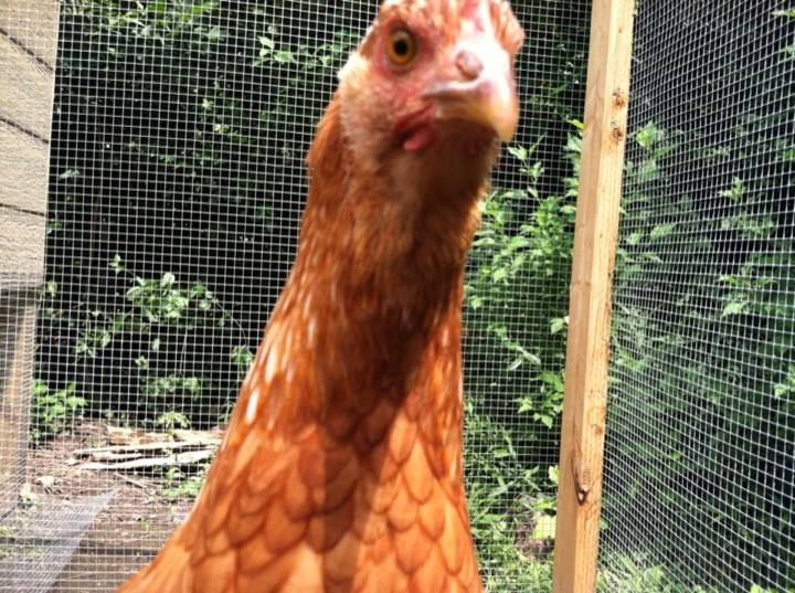 Checking out my camera phone