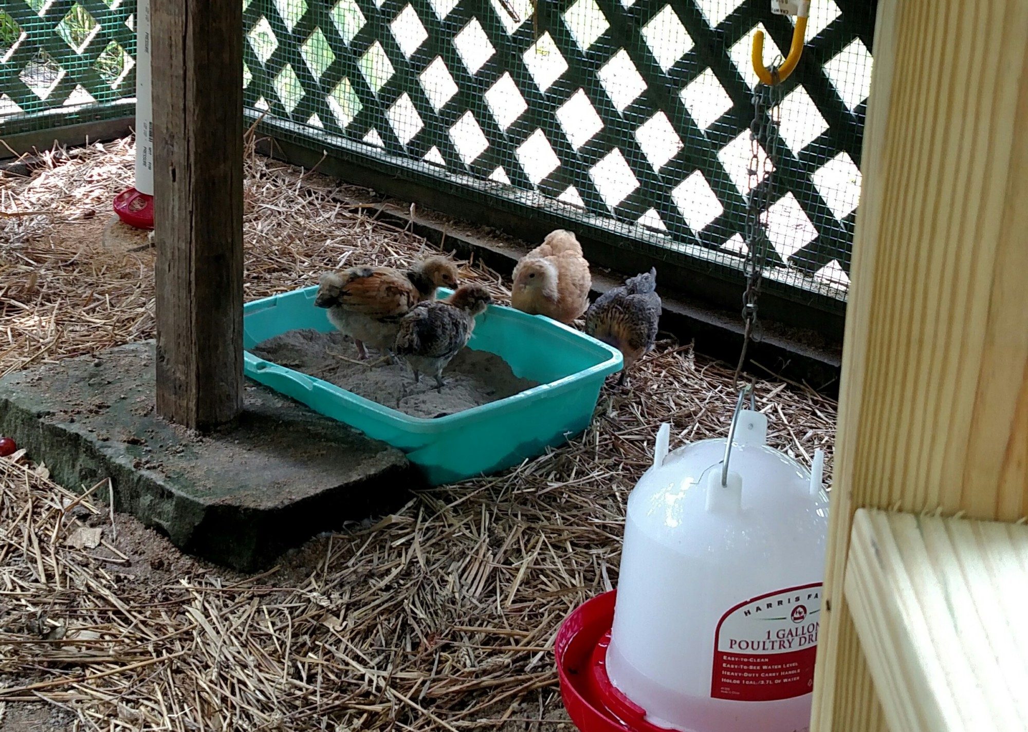 Checking out the dirt box