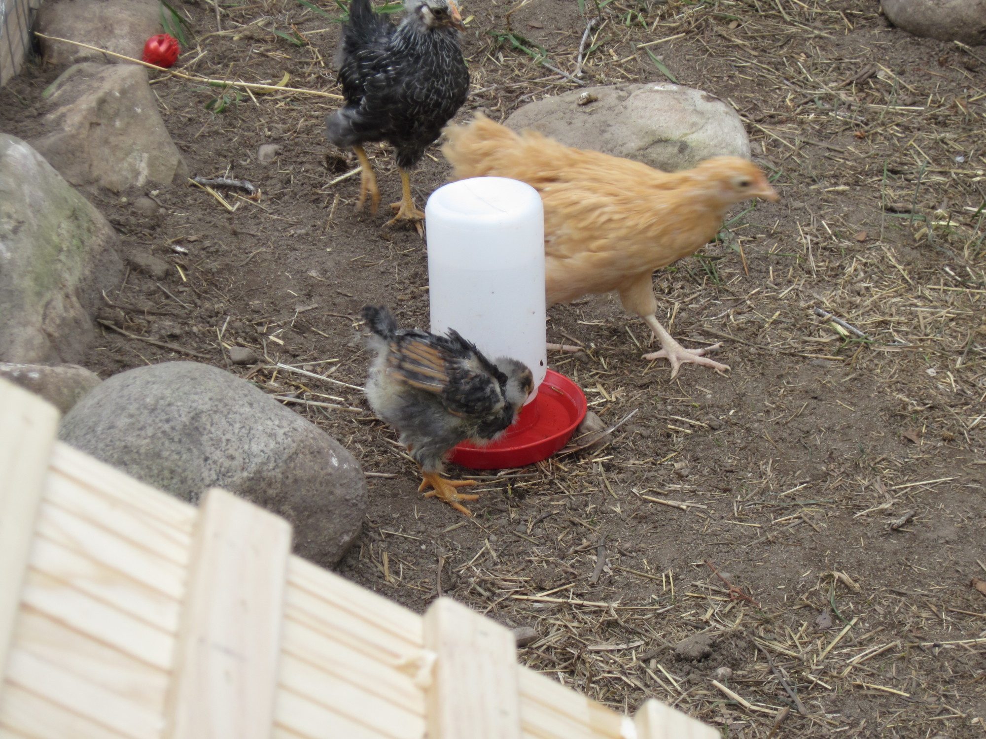 checking out their new home