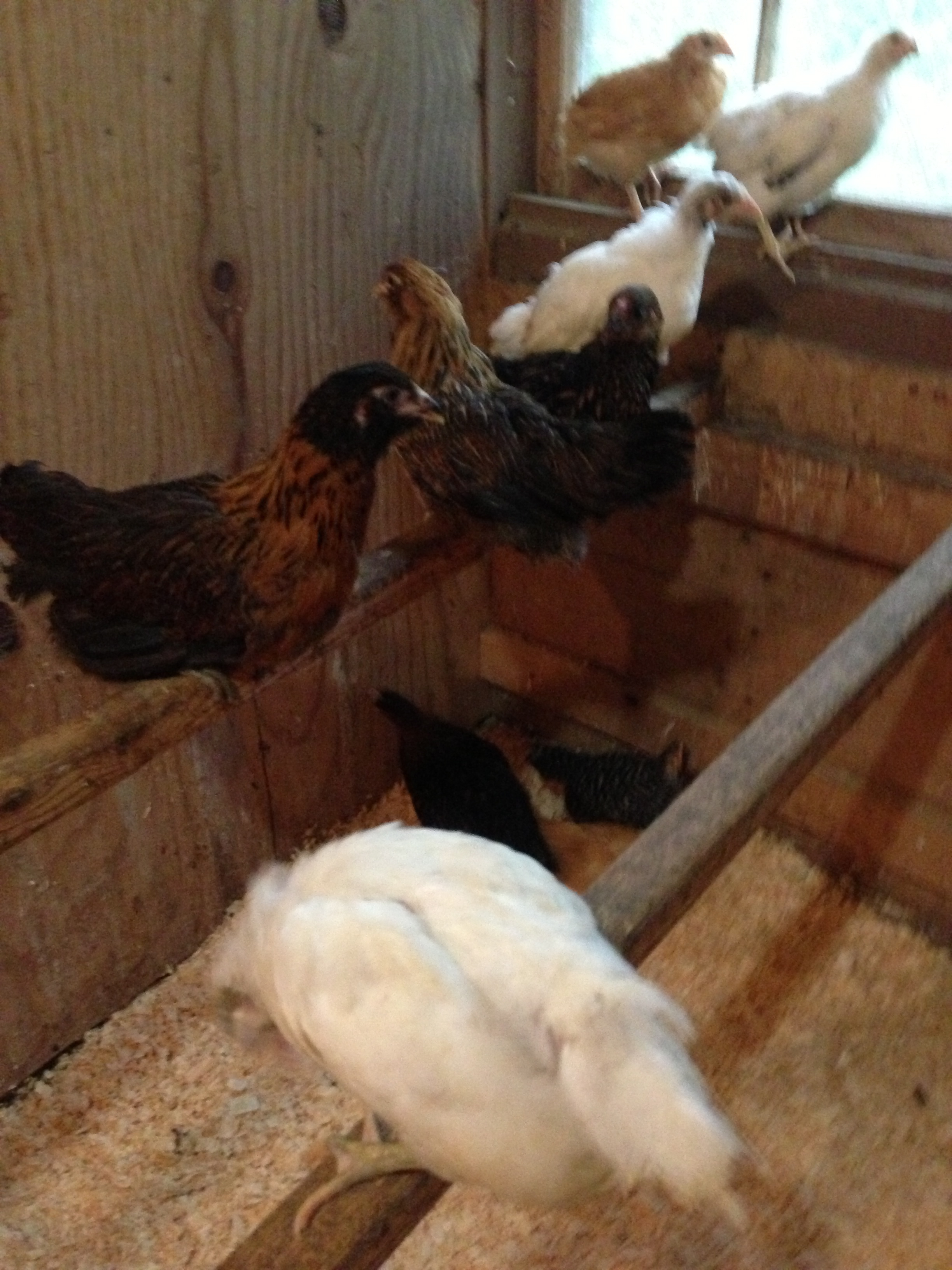 checking out their new home