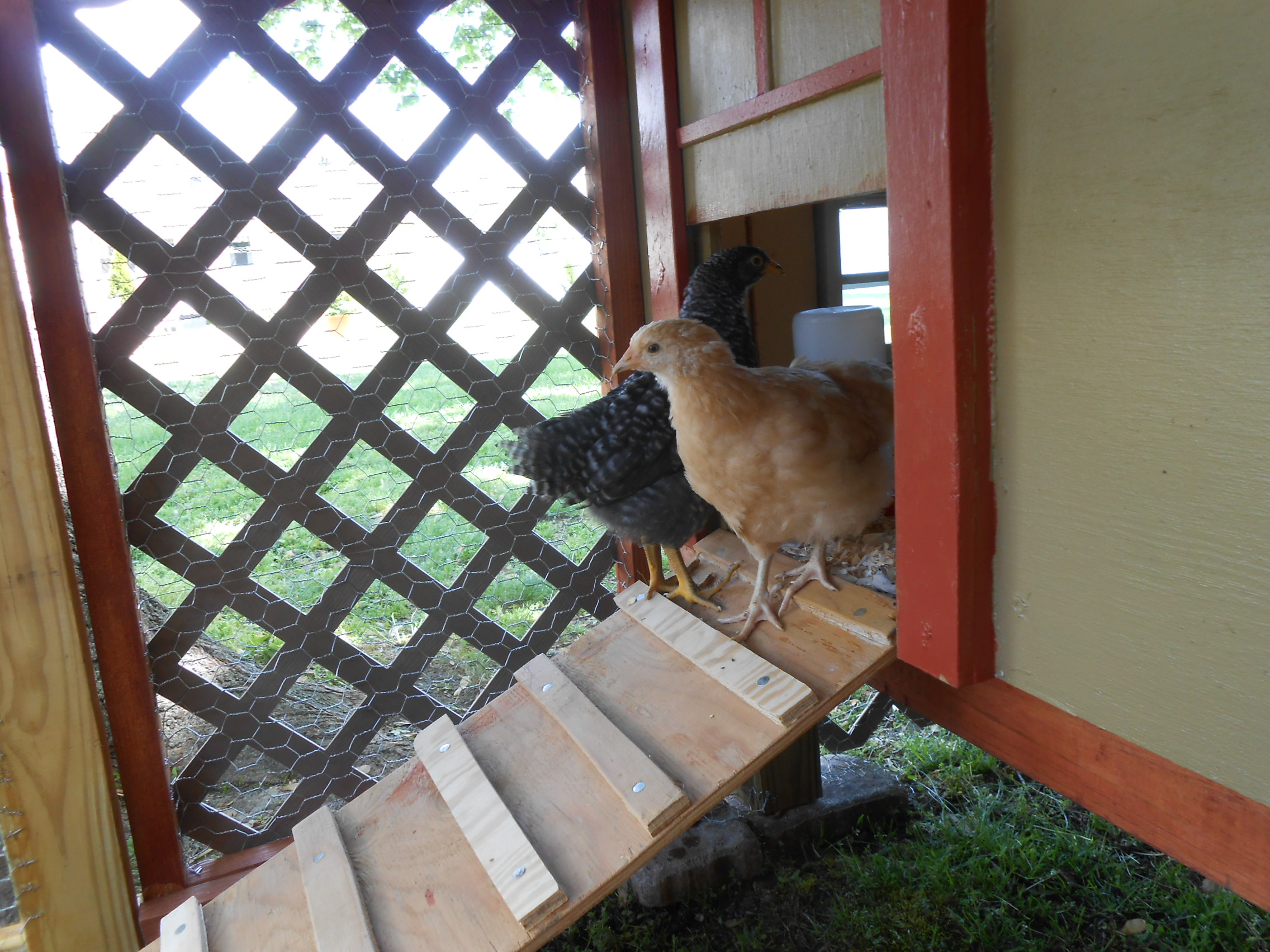 Checking out their new home