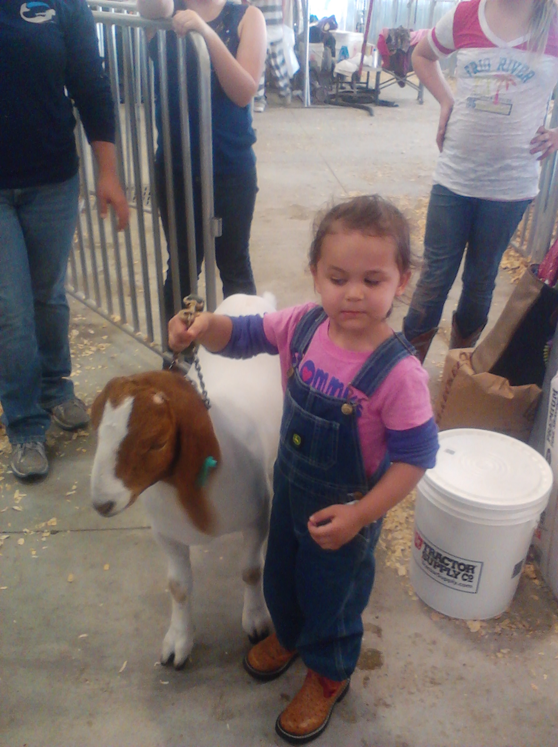 cheyenne at the fair with the goat...