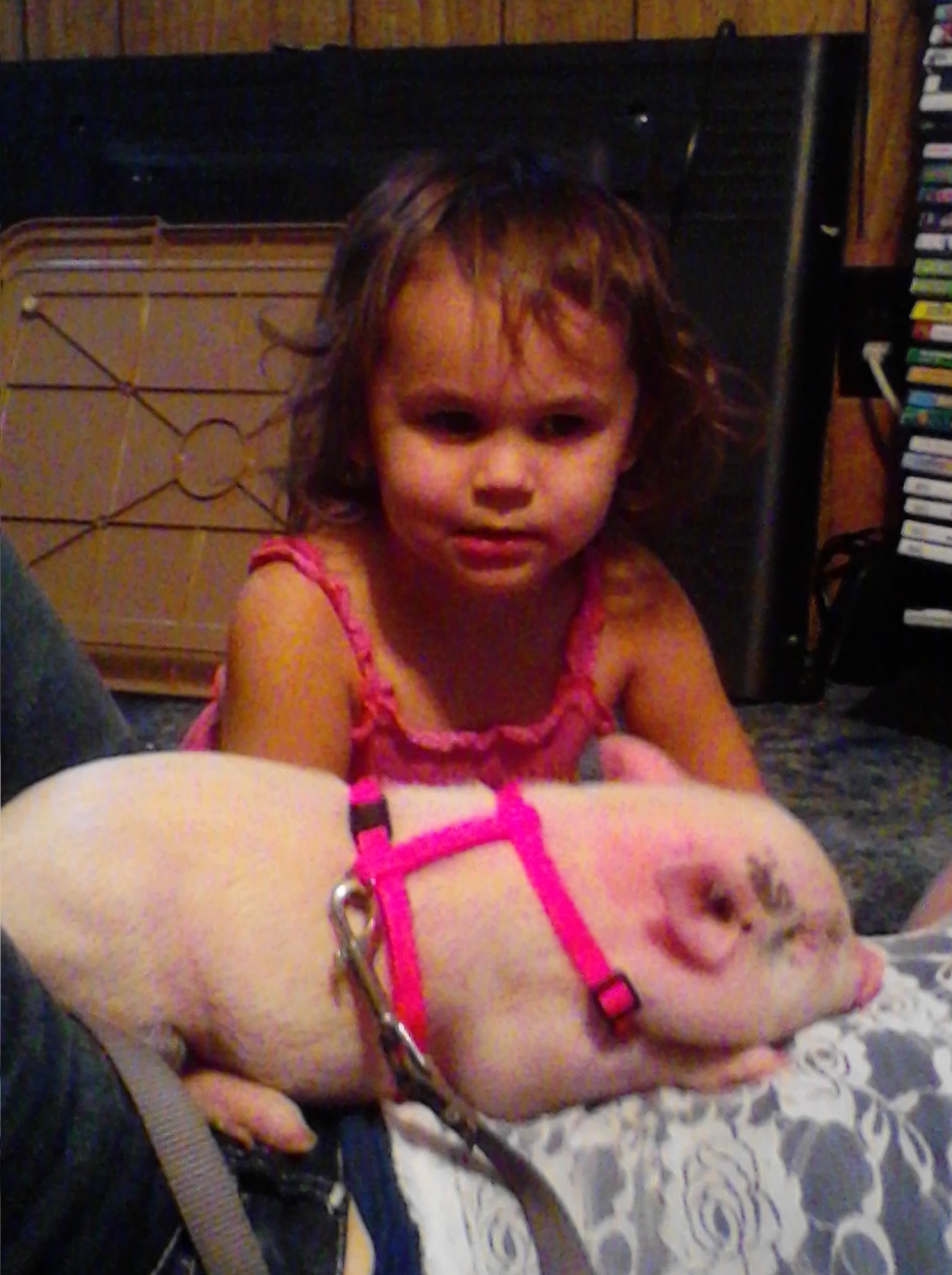 cheyenne with micro piglet...