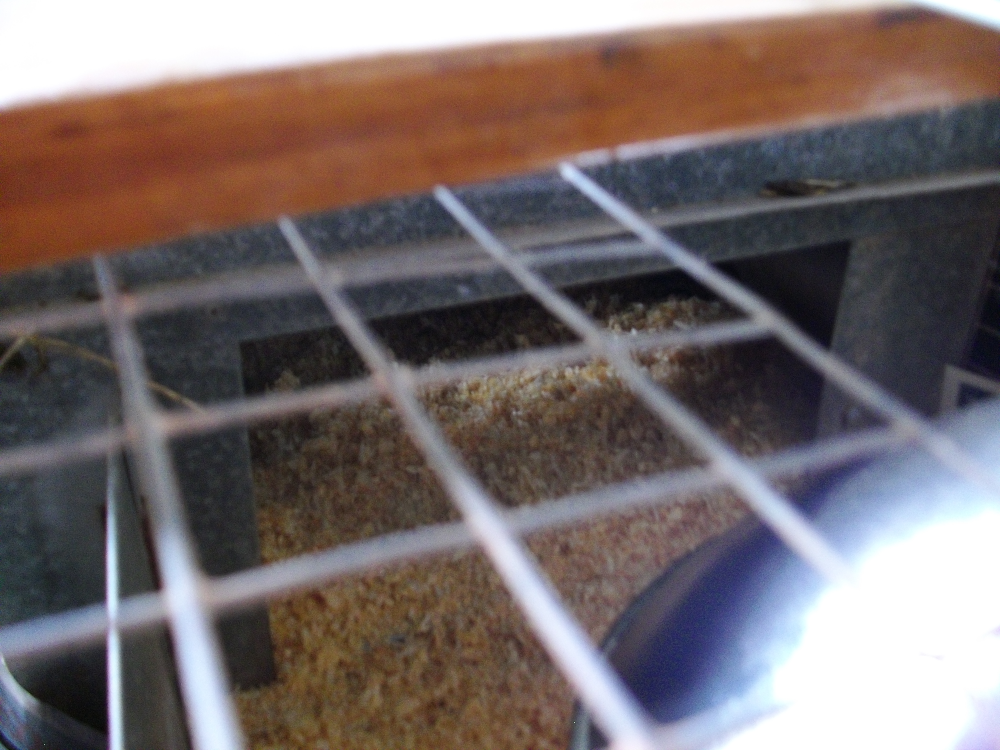 Chick brooder