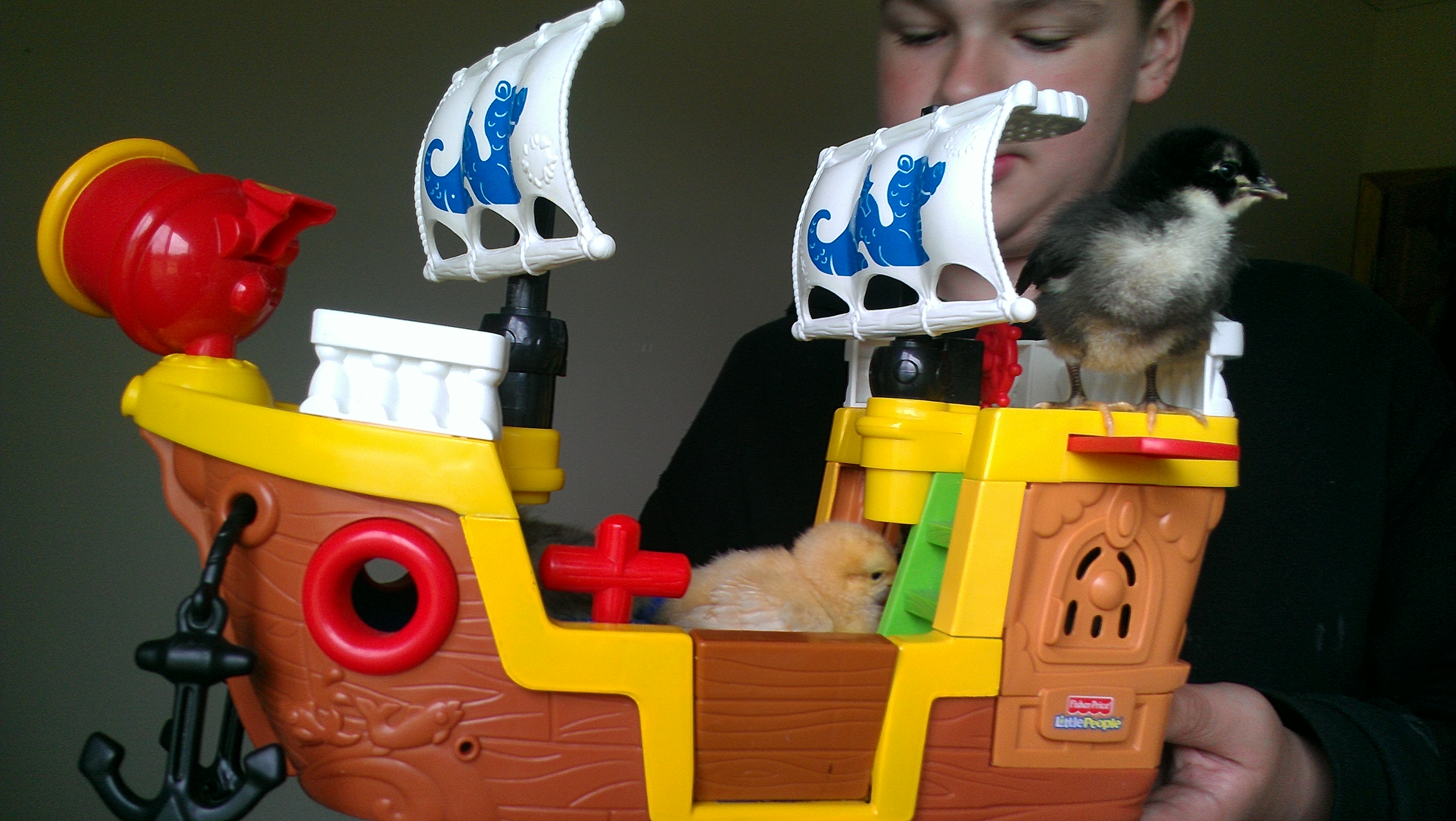 Chick Pirates