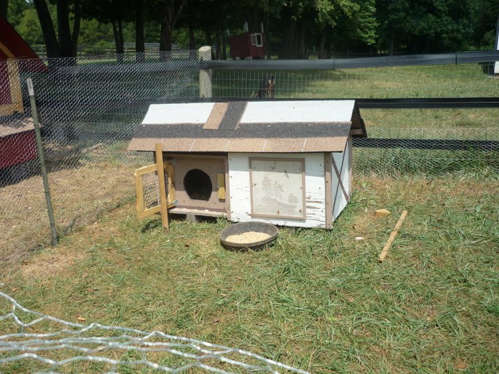 Chick/ young chicken coop used in the summer