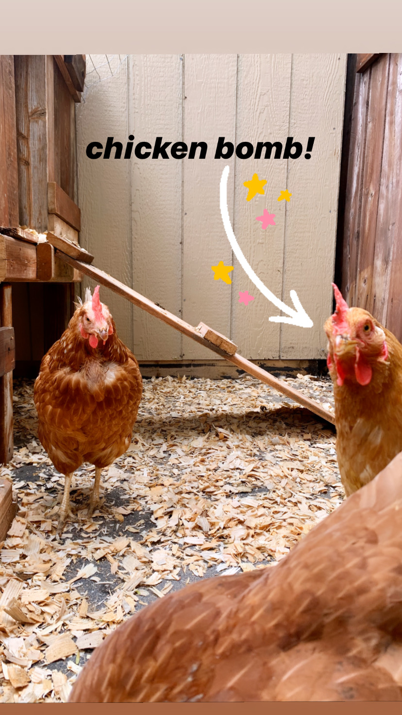 chicken bomb!