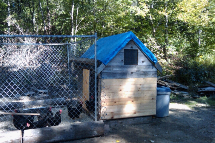 Chicken coop #2