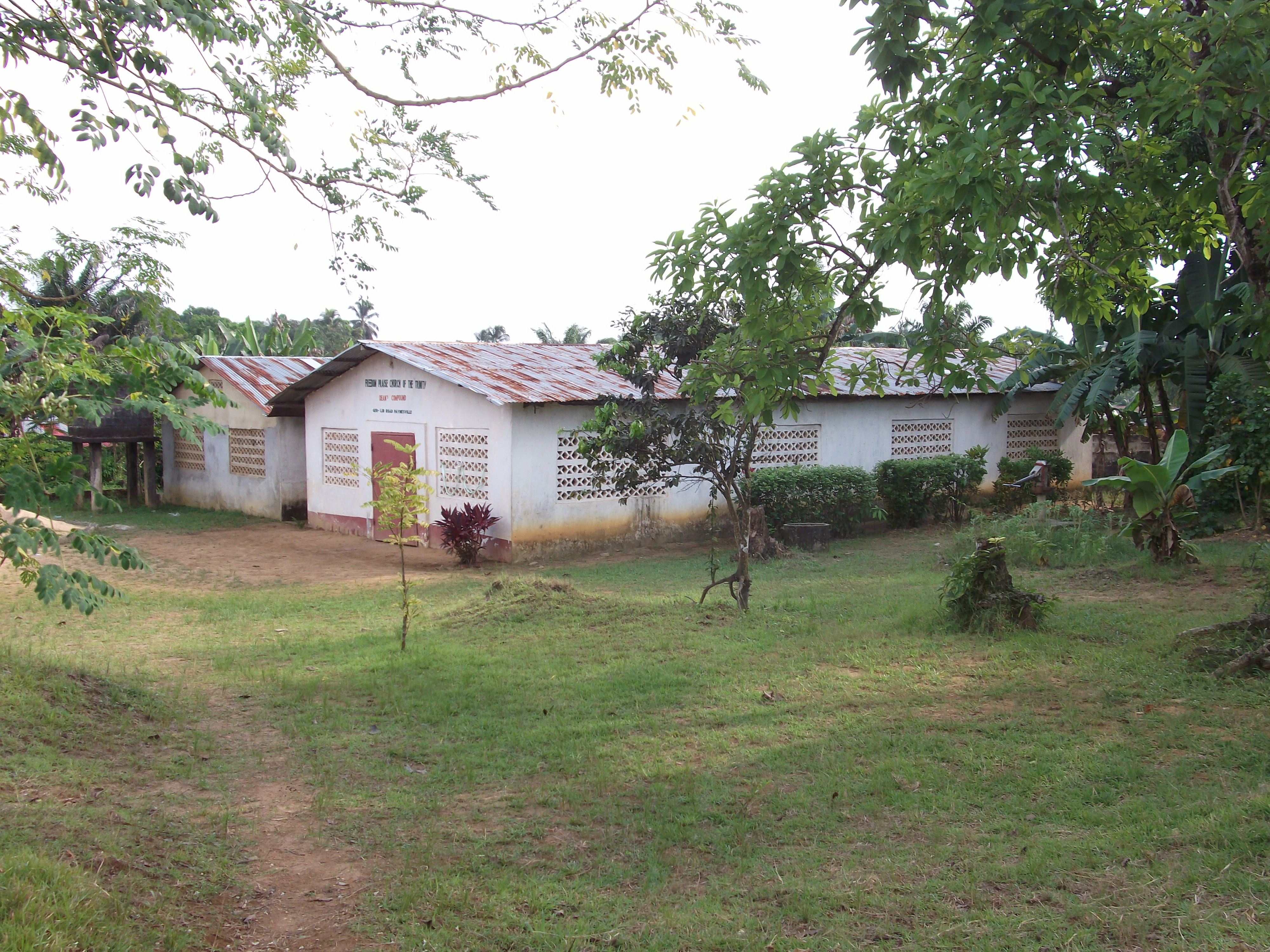 chicken coop buildings for larger birds