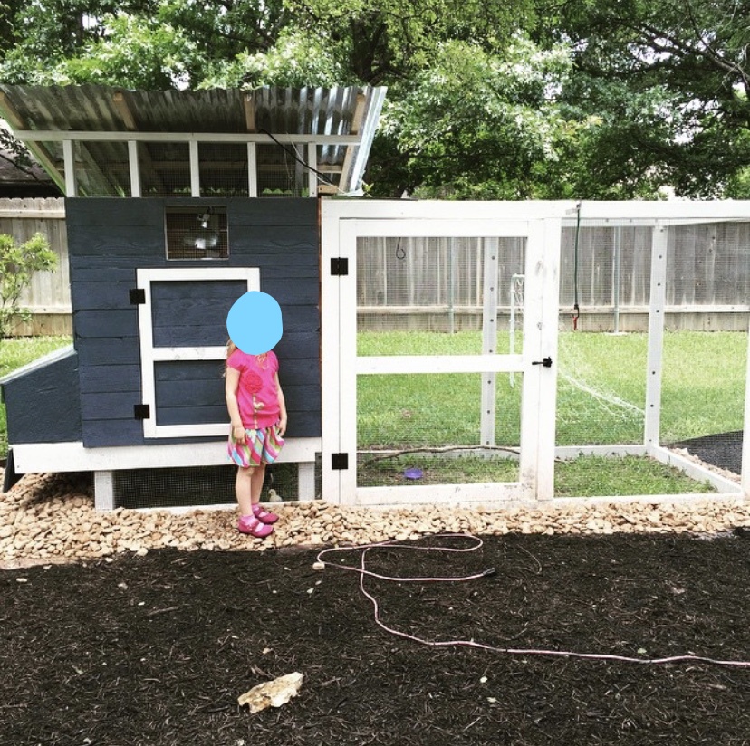 Chicken coop edited.jpg