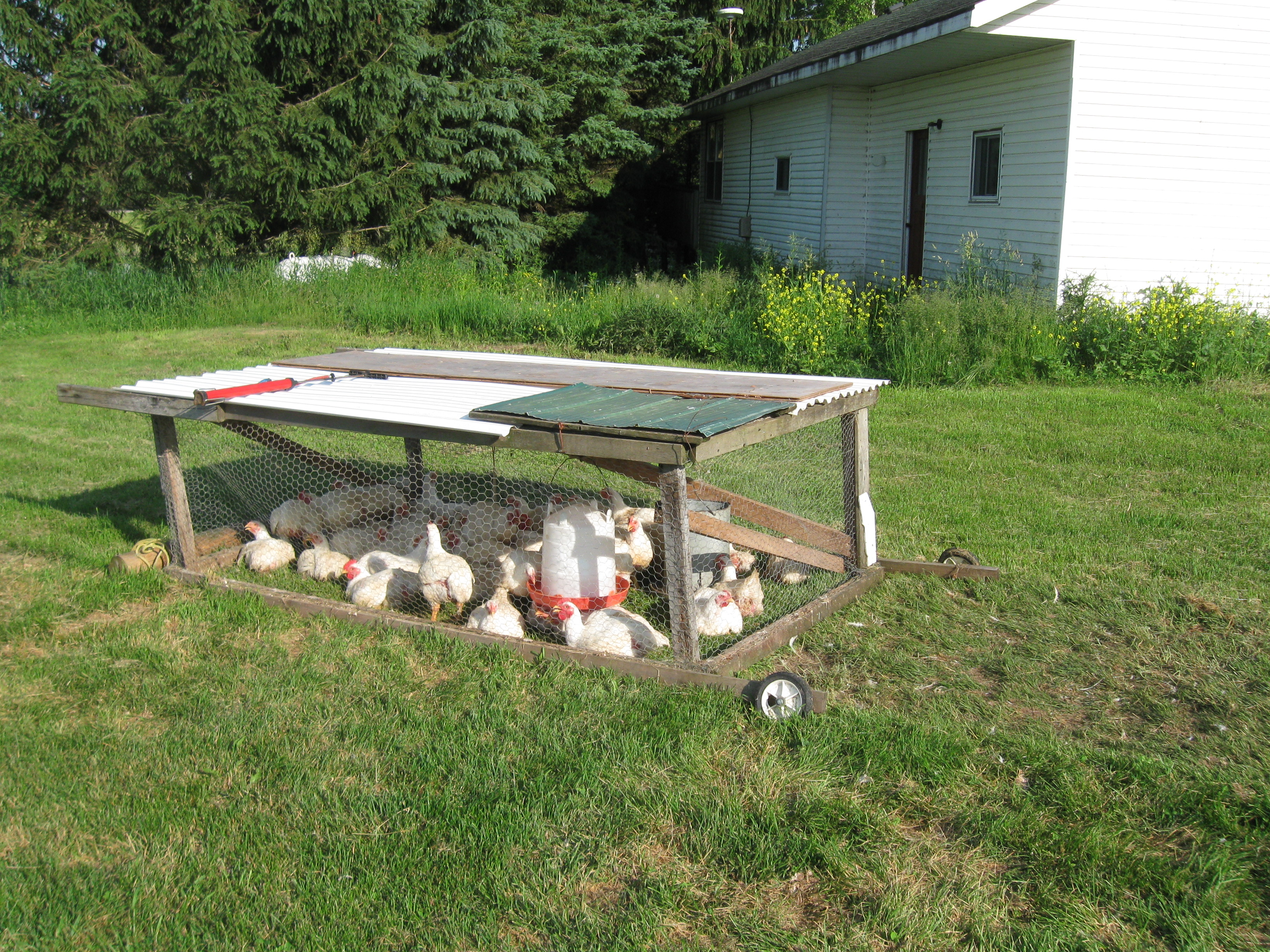 chicken coop for broilers