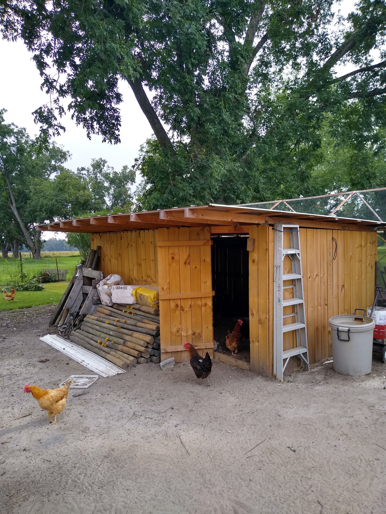 chicken coop.jpg