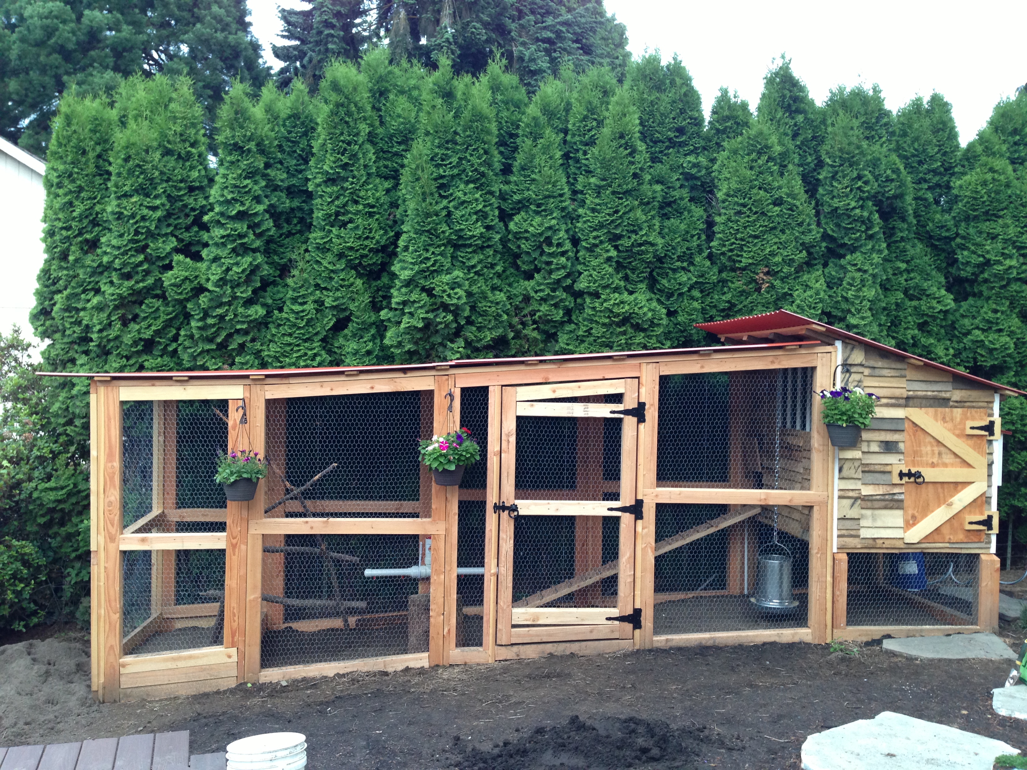 Chicken Coop Made From Refurbished Wood Windows And Siding Is Old