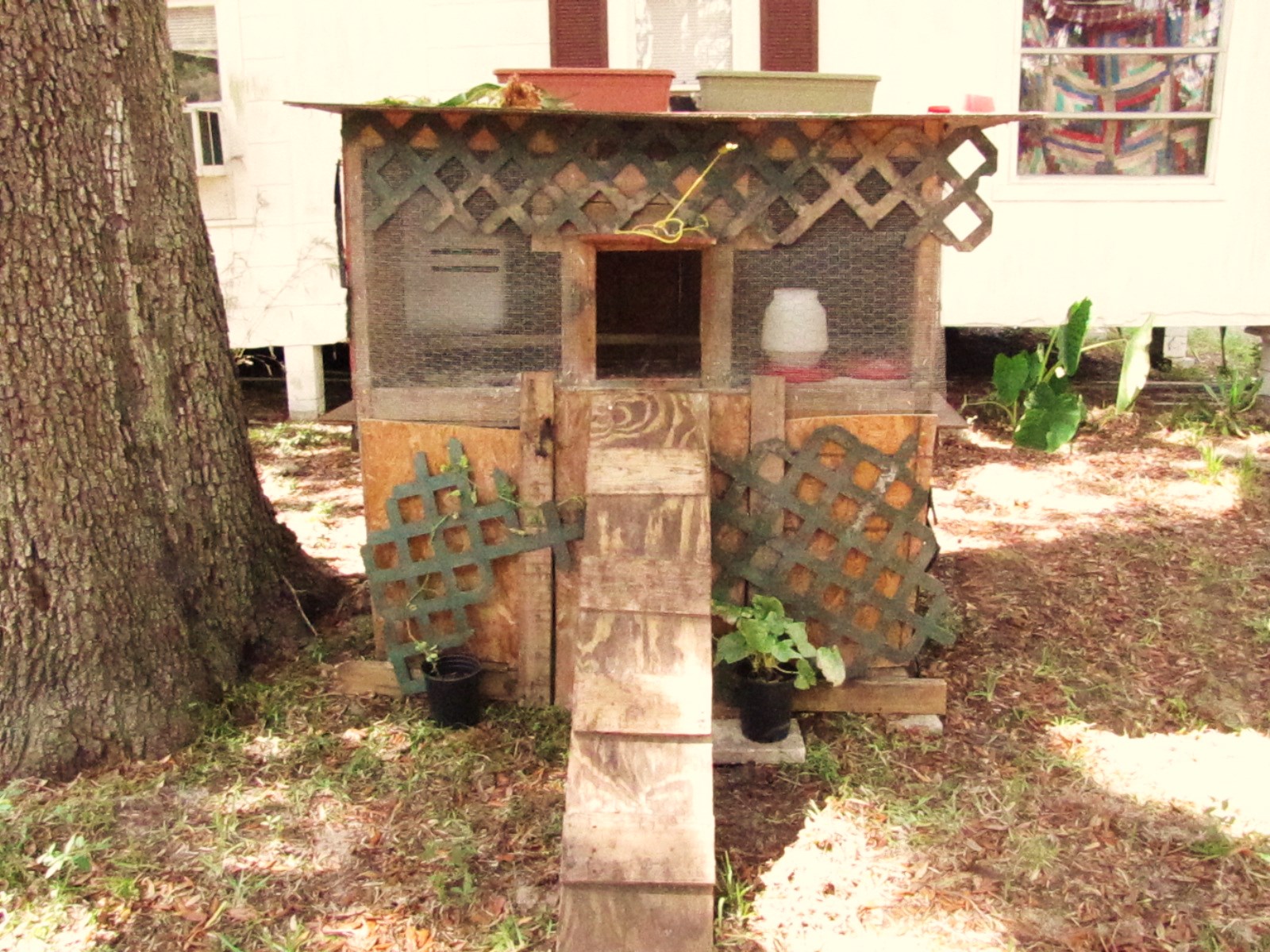 chicken coop part