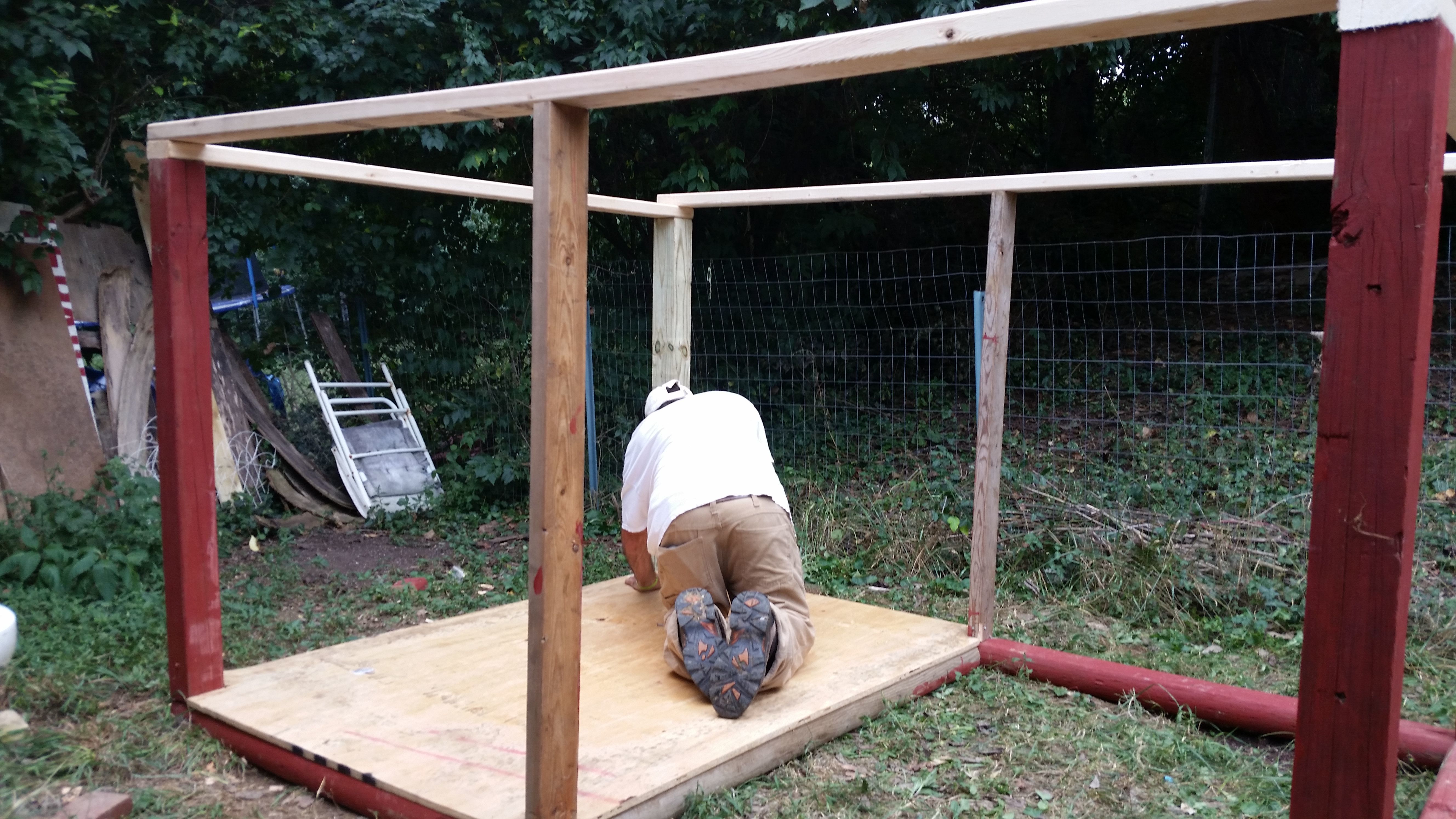 Chicken coop semi-framed and floor being installed