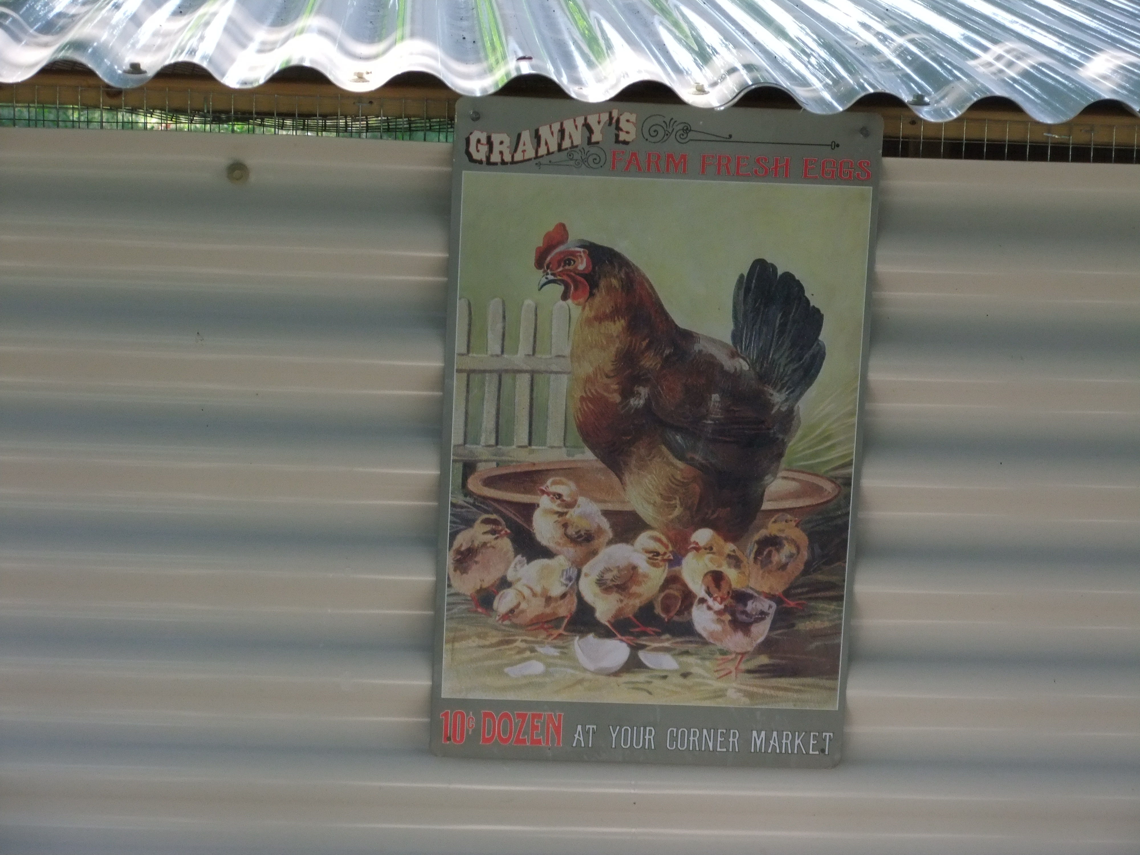Chicken Coop Sign