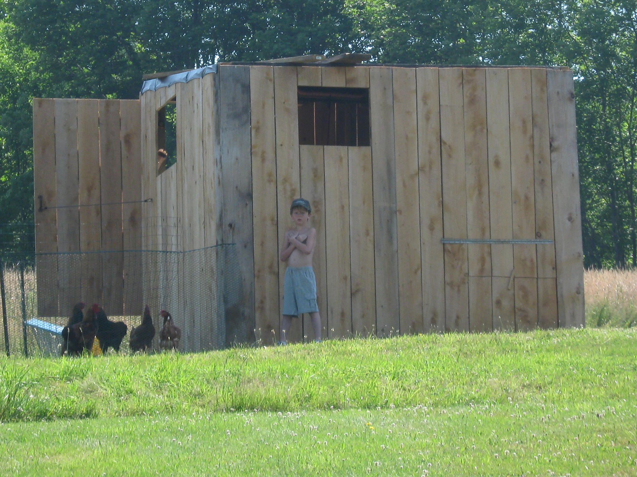 chicken coop, still hvae to do the trim and roof