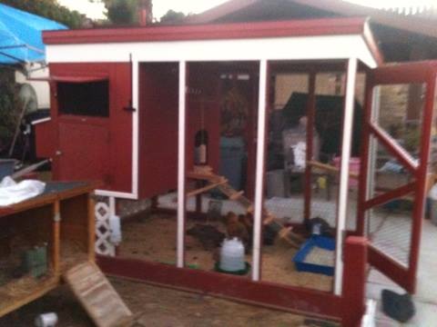 *
Chicken coop  with chickens.