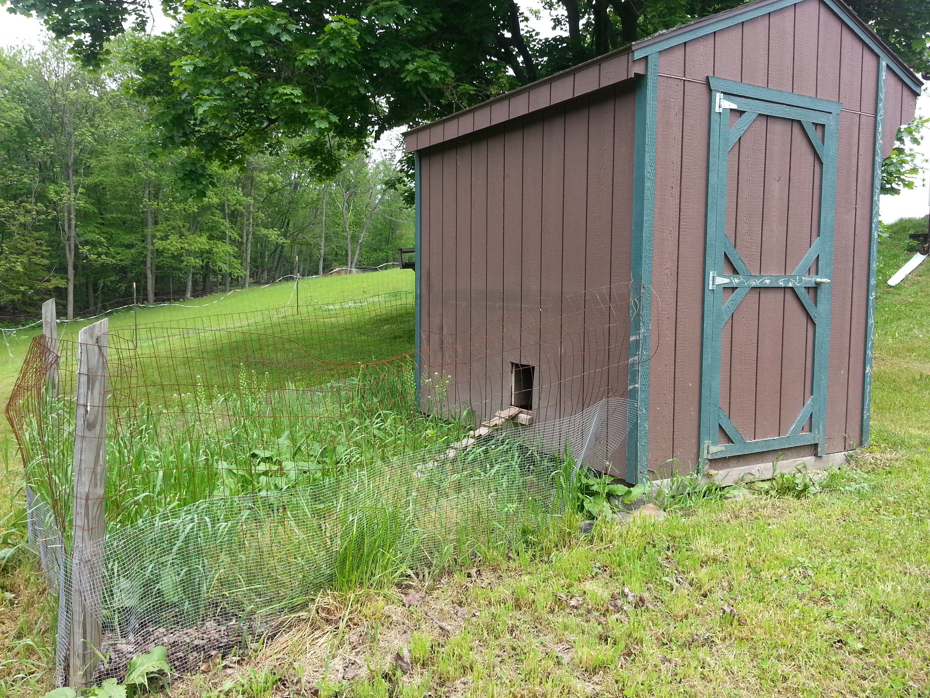 Chicken Coop