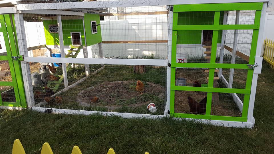 Chicken coop