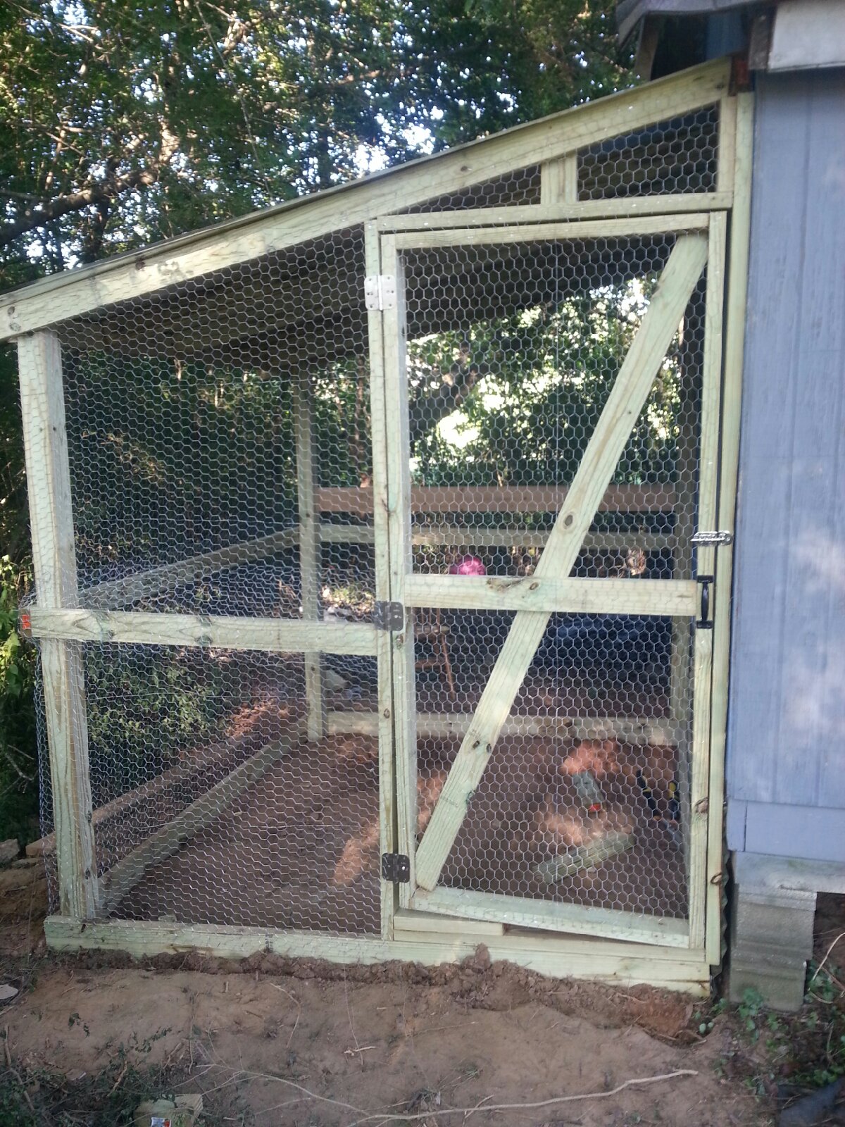 Chicken Coop