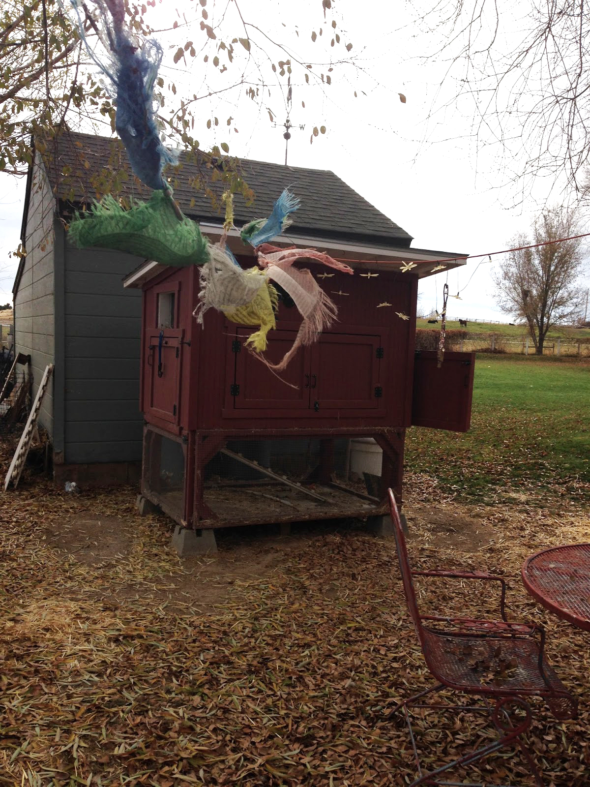 Chicken Coop