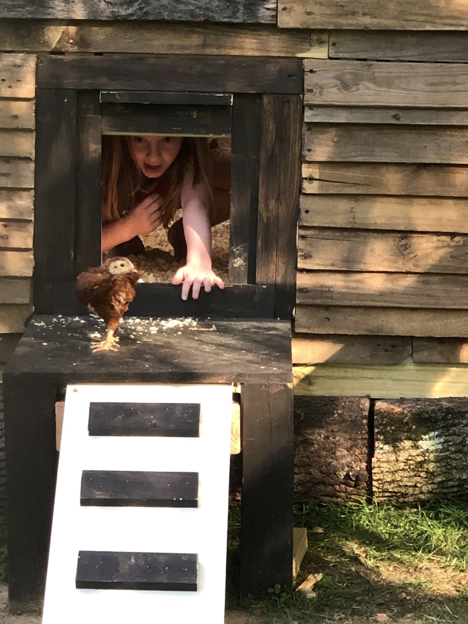 Chicken Door & Daughter