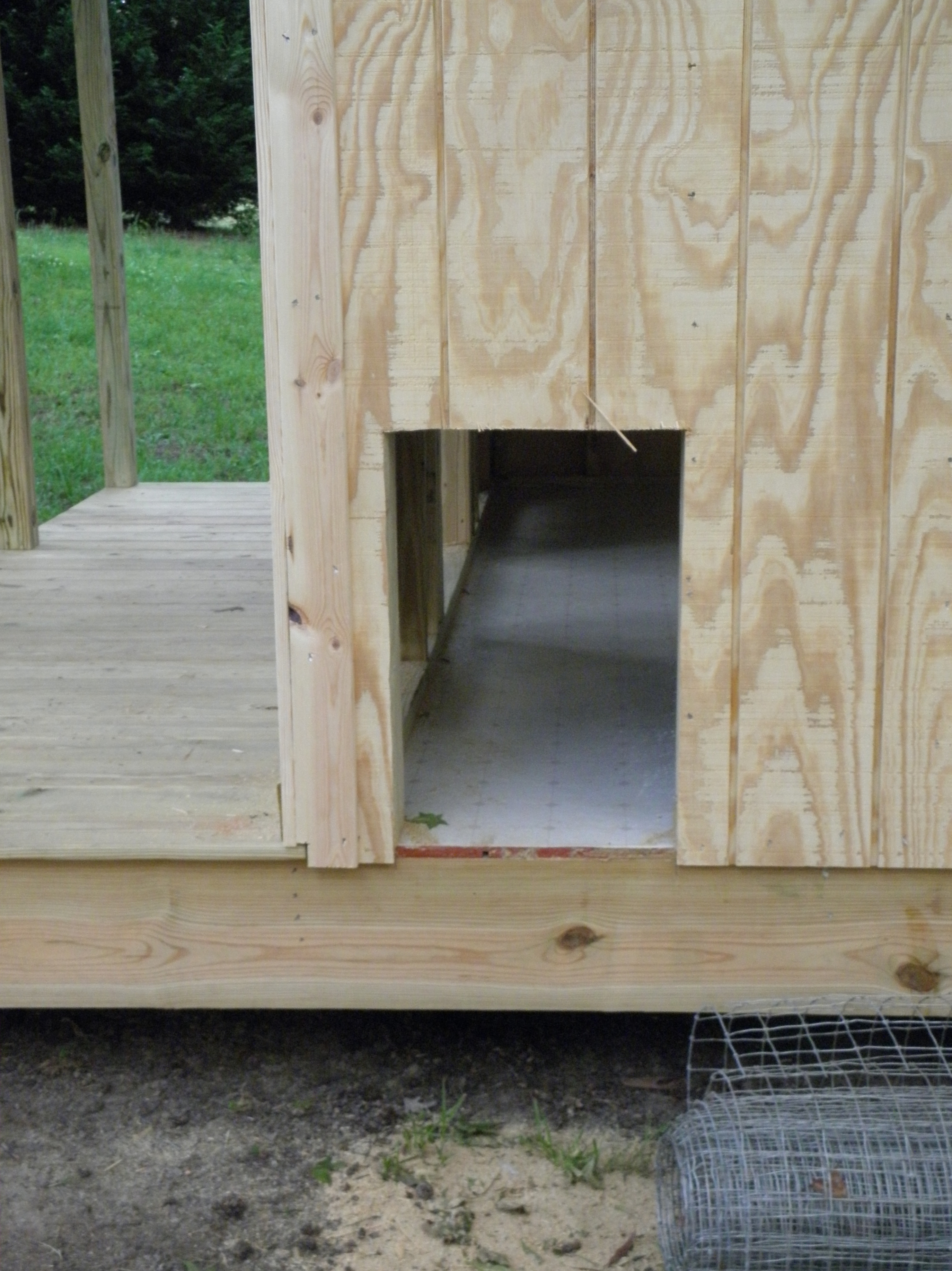 Chicken Door