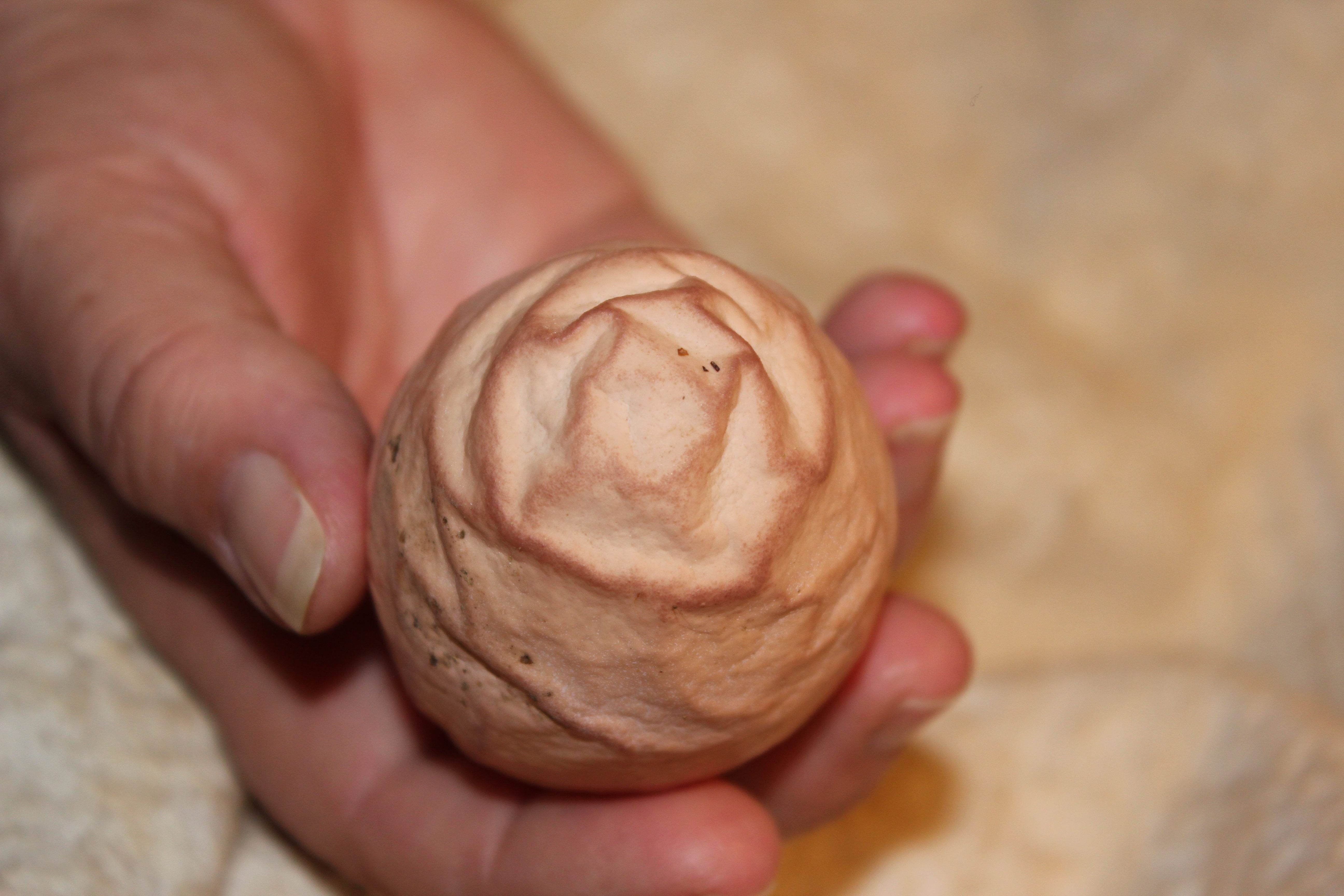 chicken egg from Mar.24,2012
with rose pattern