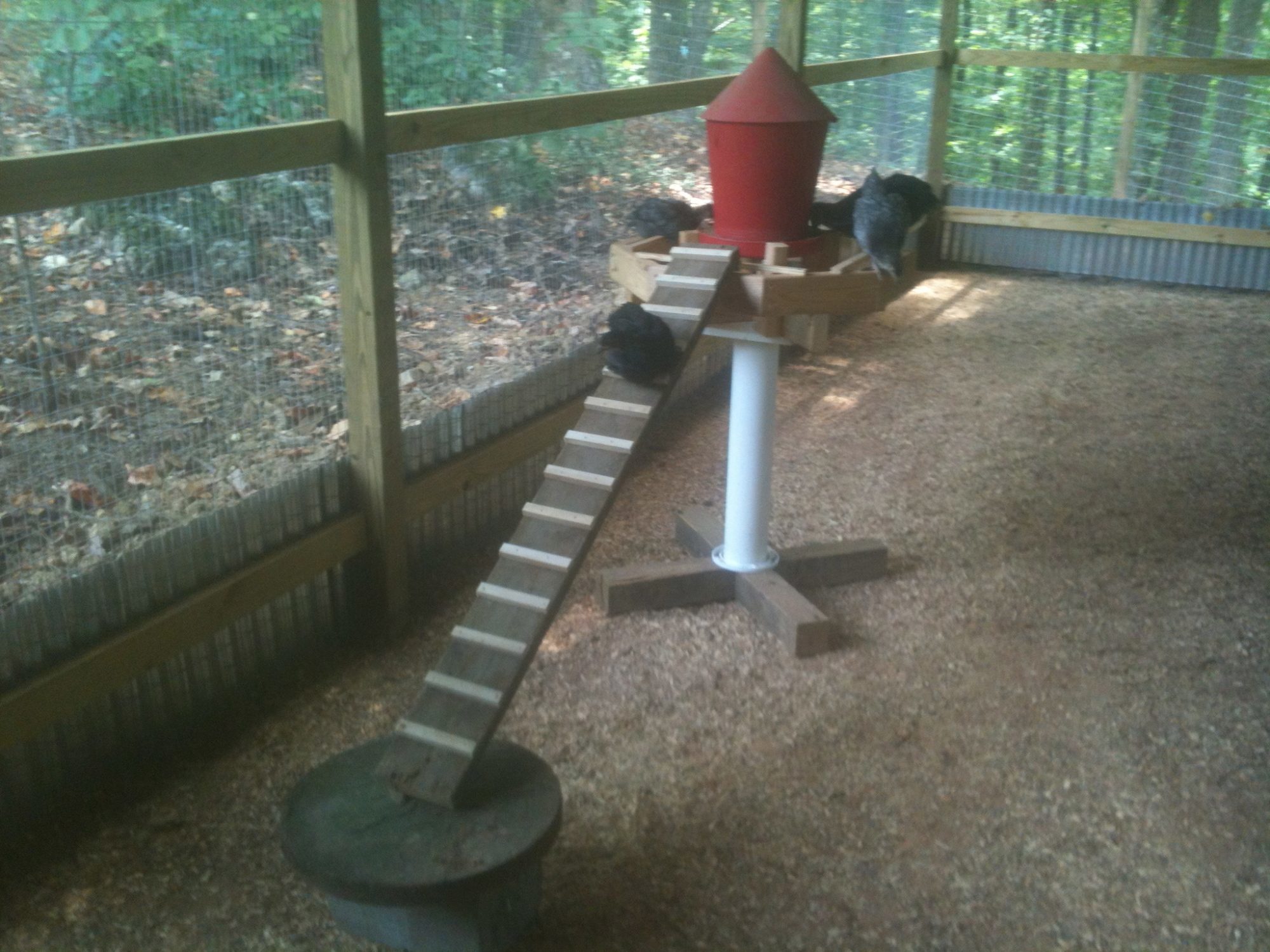 chicken feeder keeps the small field mice poop out of the feed