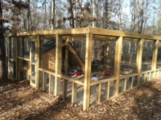 Chicken hotel from side view.