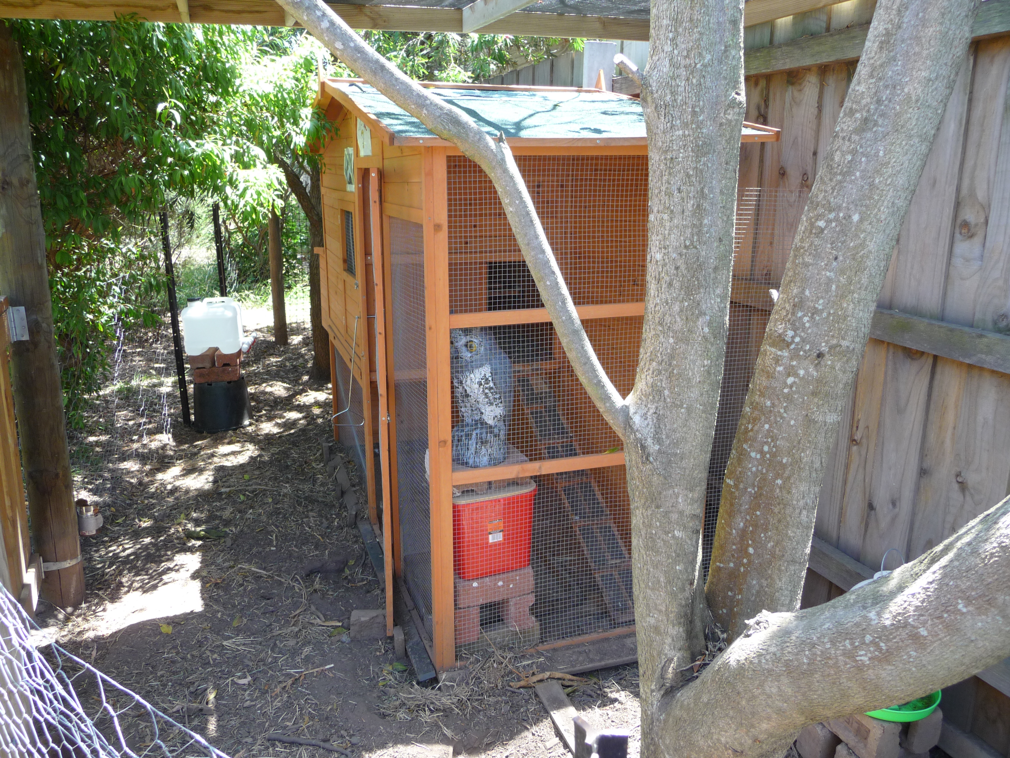 Chicken House