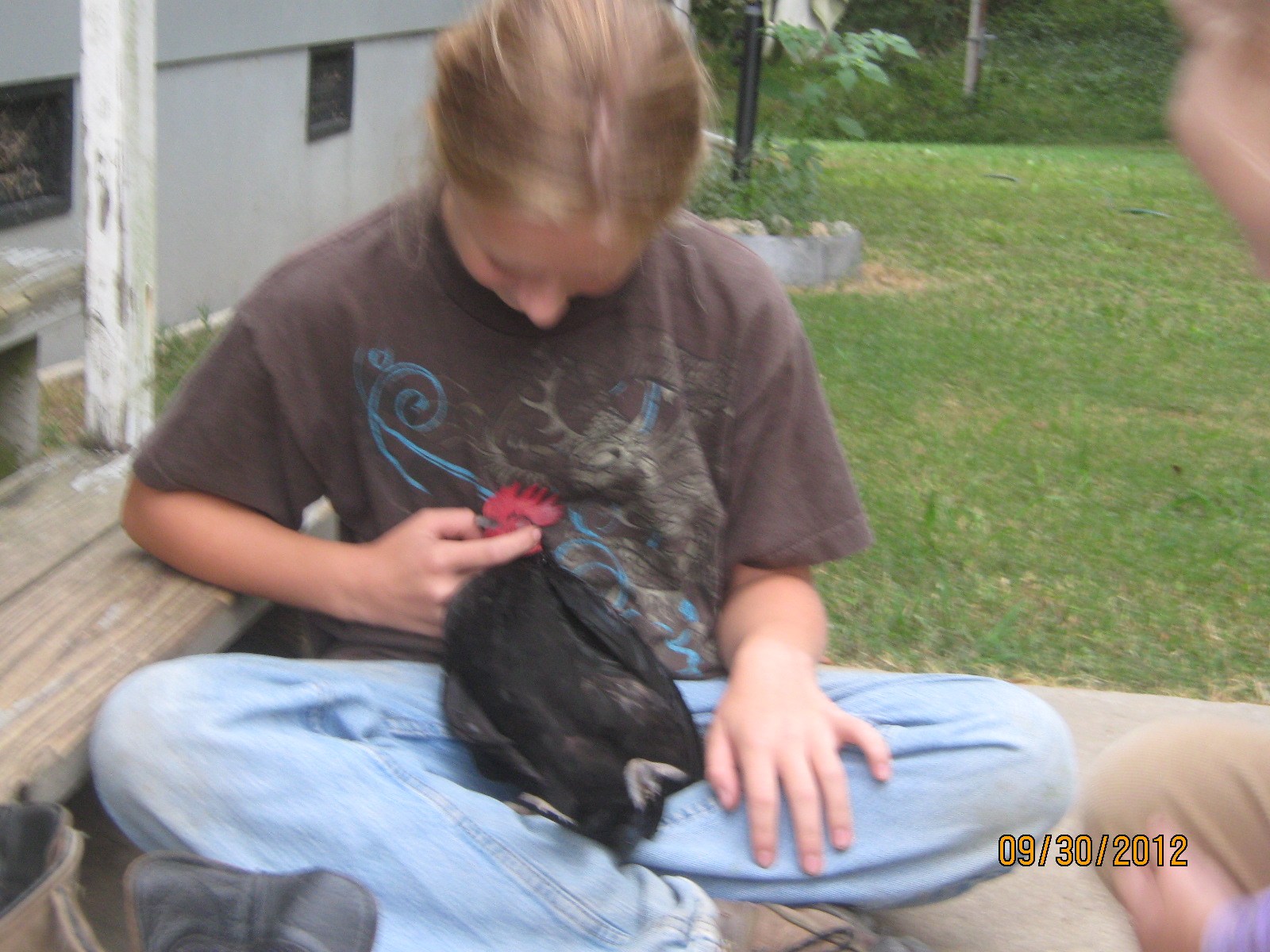 Chicken Little taking a nap