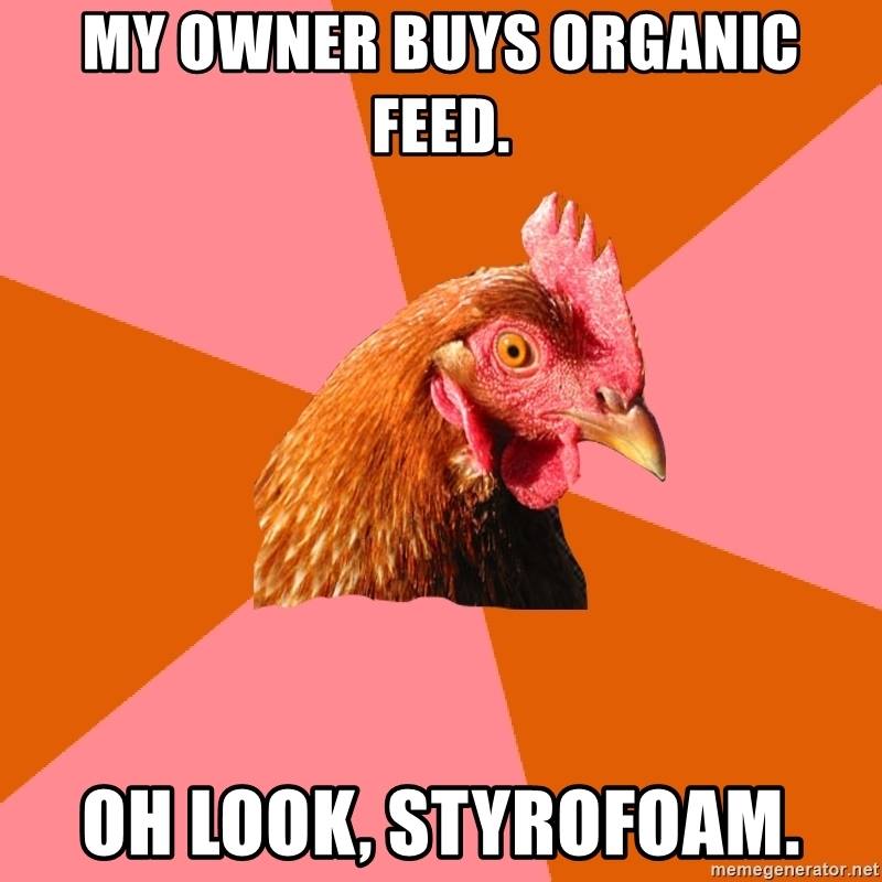 Chicken meme 4