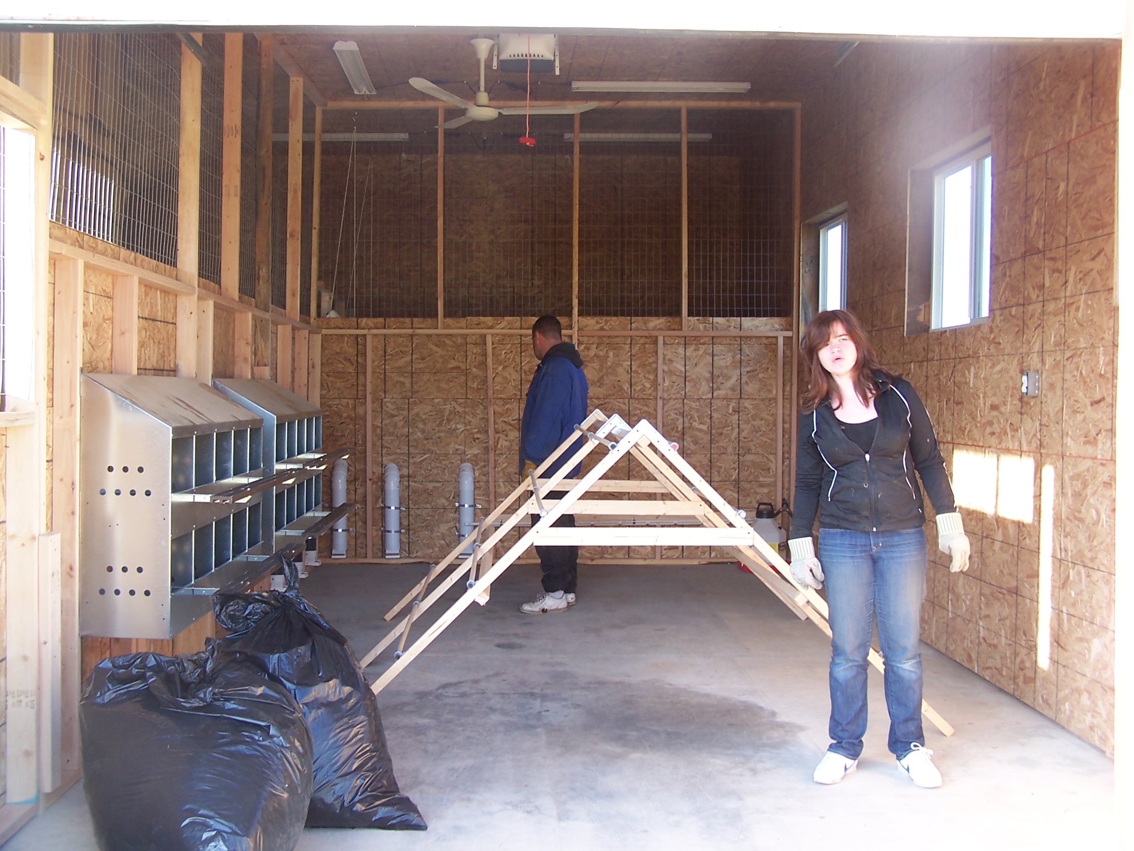 Chicken moving day...from the brooder to their new coop!